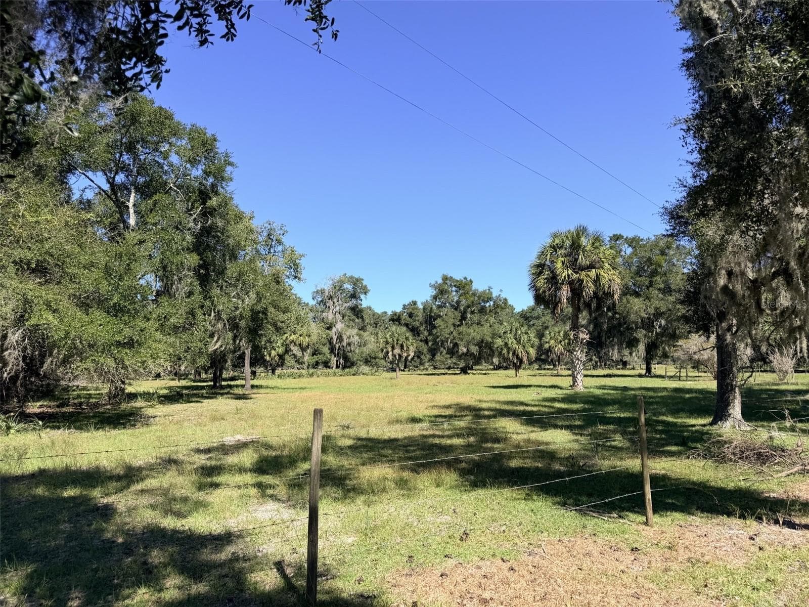 Single Family Residence at 4251 NW 100TH AVE, CHIEFLAND, photo 4 of 24