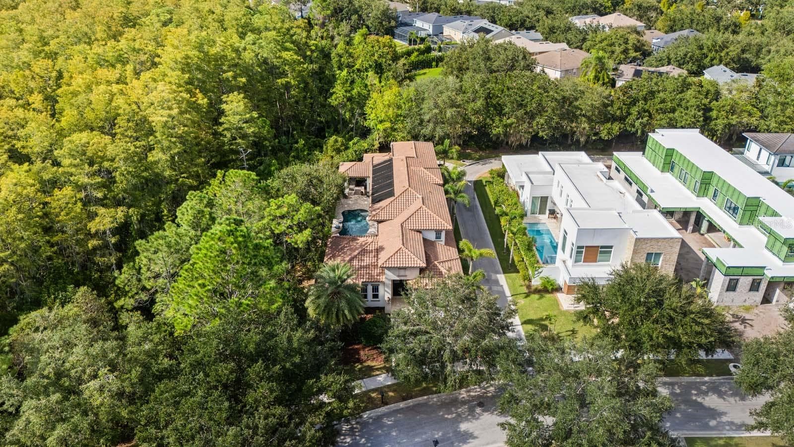 Aerial - 8615 FARTHINGTON WAY, ORLANDO