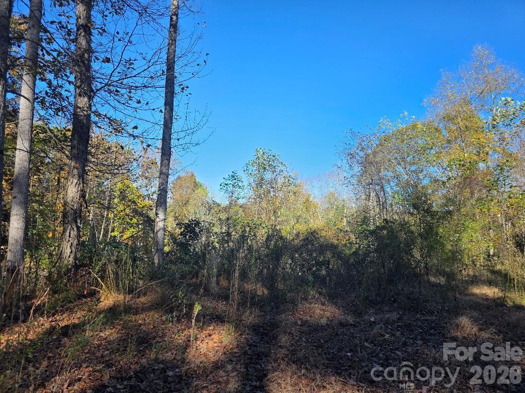 Lot at TBD Buckeye Hollow Road, Bakersville, photo 2 of 5