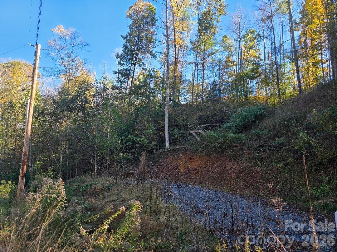 Lot at TBD Buckeye Hollow Road, Bakersville, photo 3 of 5