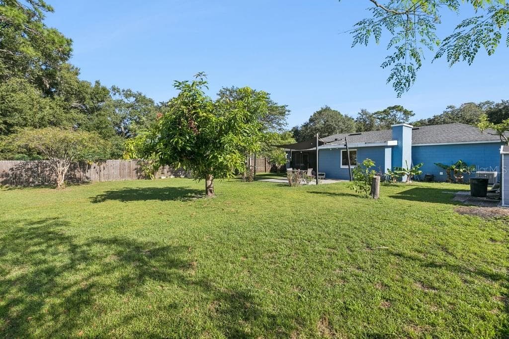 Fenced Backyard with Fruit Trees - 8509 LYONIA DR, ORLANDO