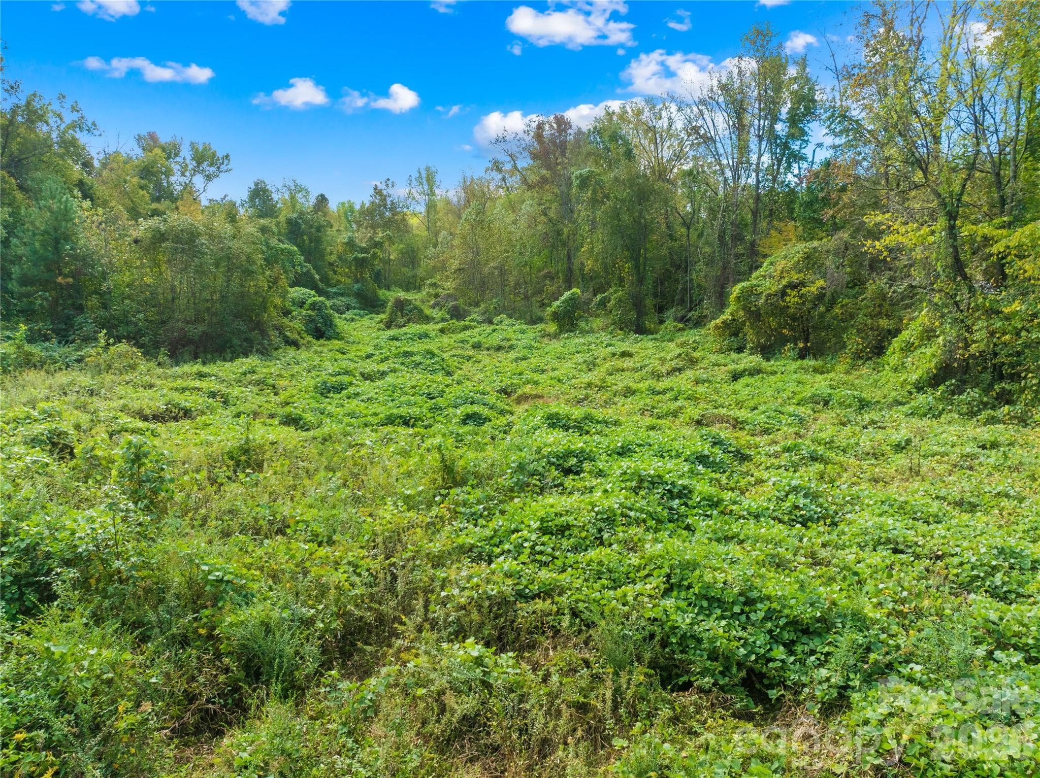 Acreage at 0 Abel Road, Bessemer City, photo 26 of 33