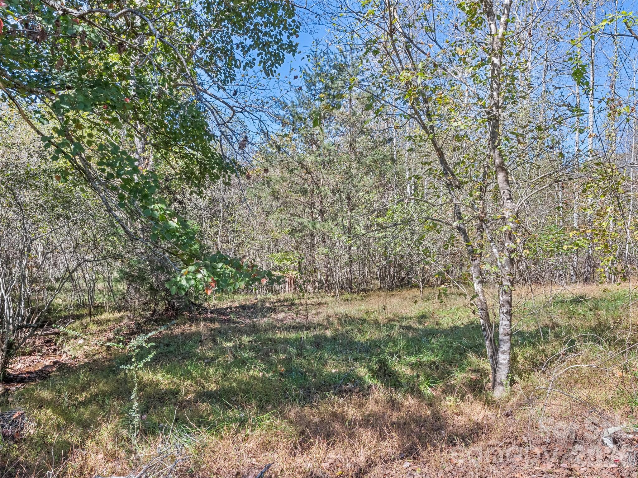 Single Family Residence at 323 Joe Moody Road, Warne, photo 22 of 30