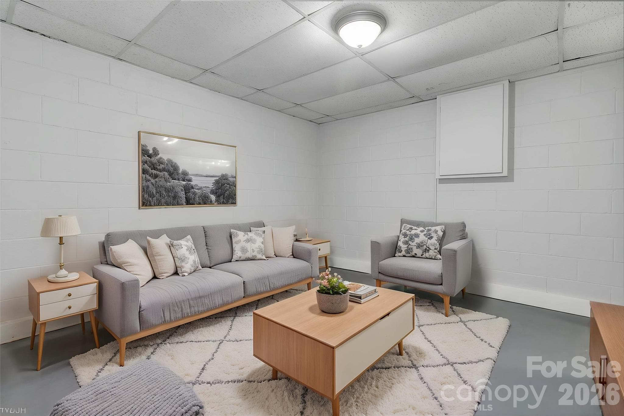virtually staged lower living area - 25 Hickory Tree Road, Asheville