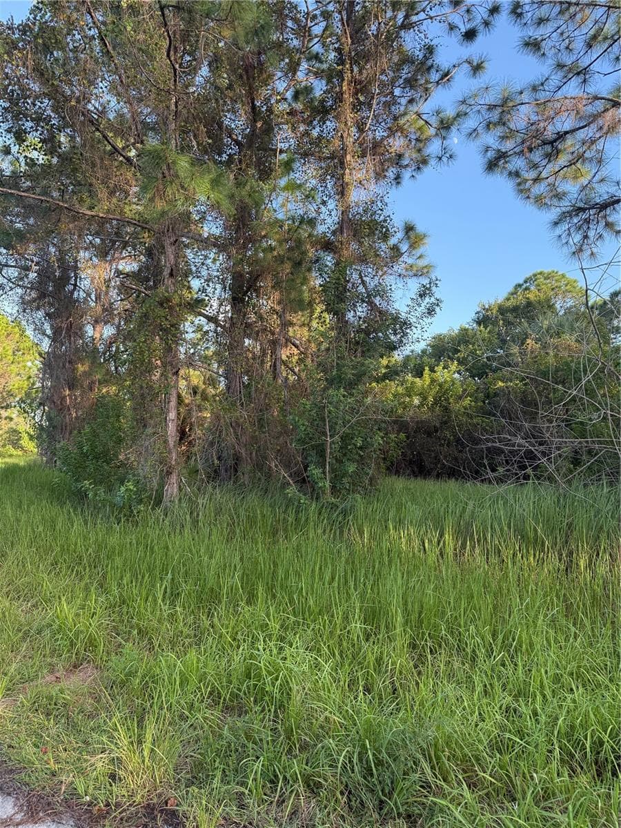 Land at FERGUS AVE, PALM BAY, photo 5 of 5