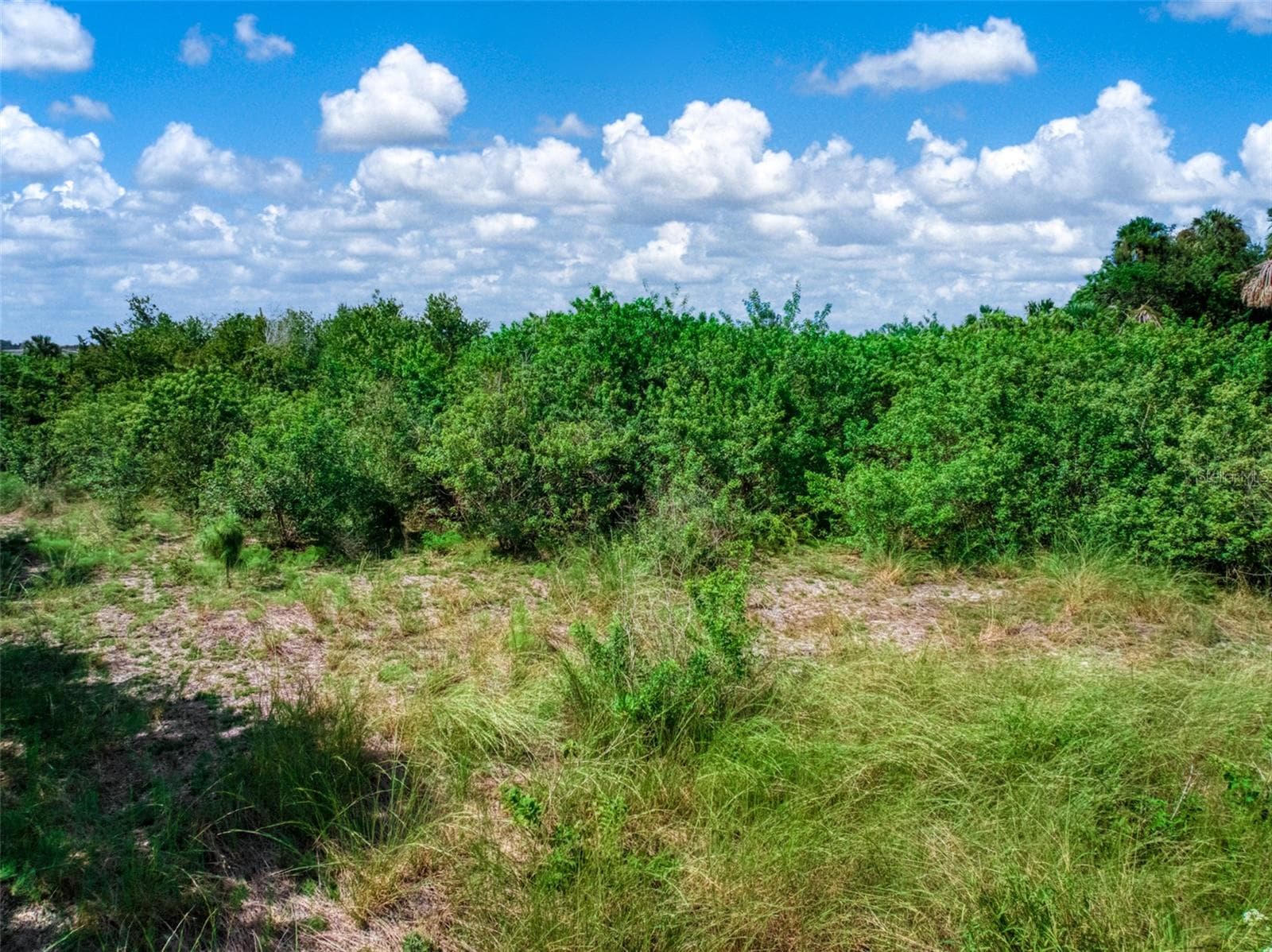 Land at 1665 COUNTY ROAD 29, LAKE PLACID, photo 11 of 34