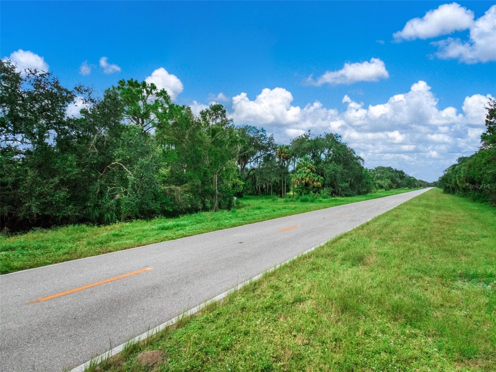 Land at 1665 COUNTY ROAD 29, LAKE PLACID, photo 15 of 34