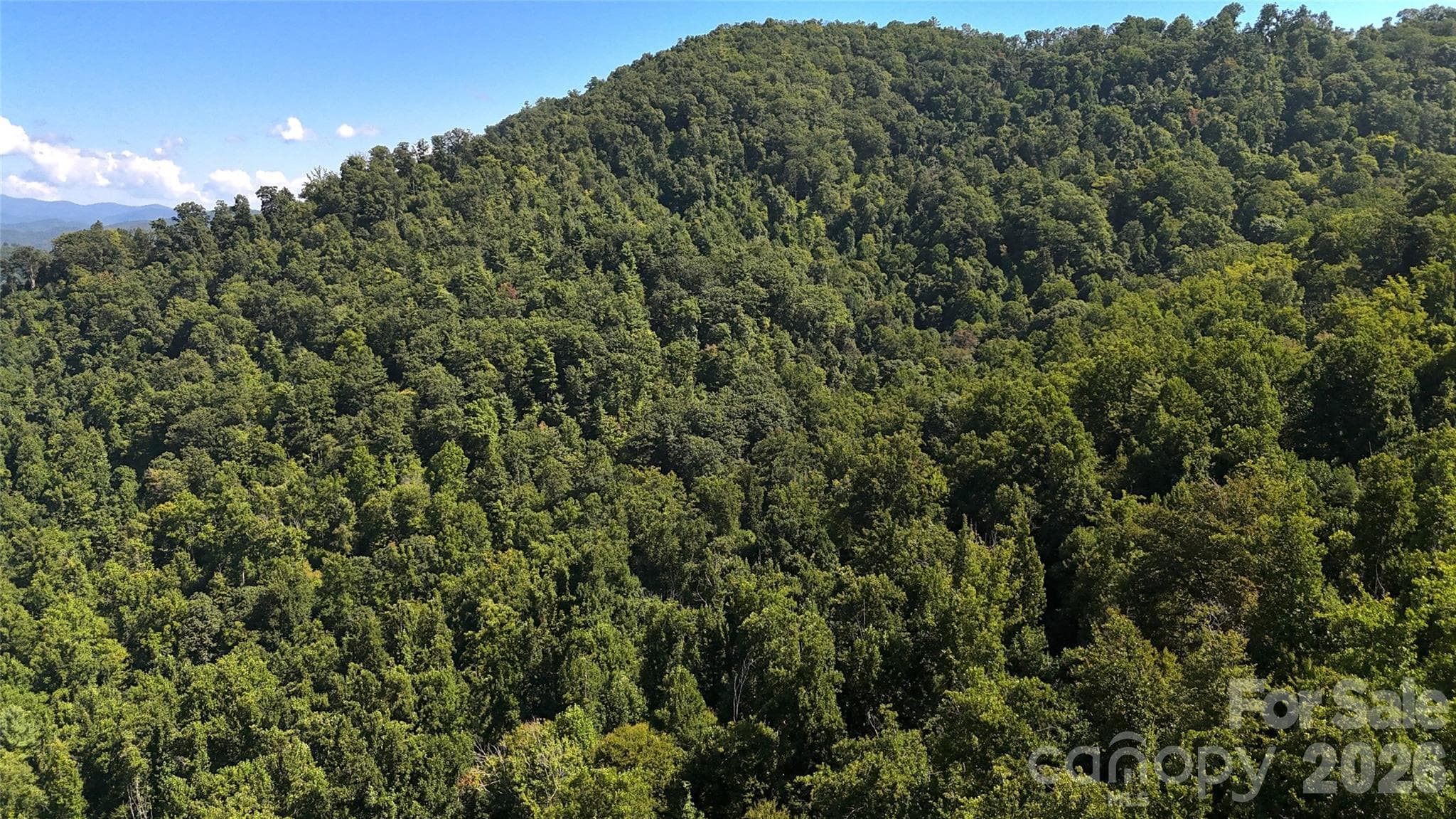 Acreage at 401 ± Upper Flat Creek Road, Weaverville, photo 27 of 44
