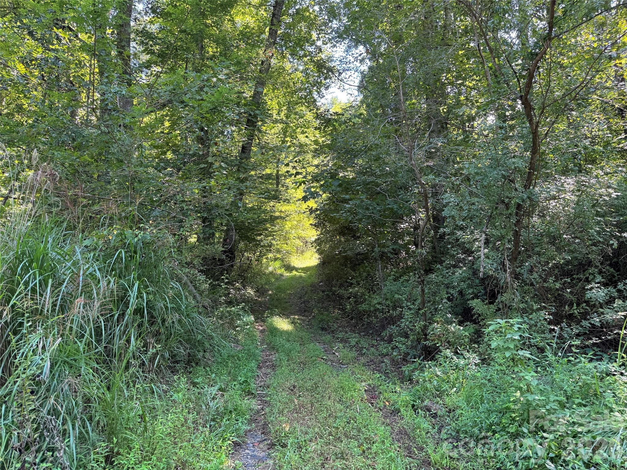 Acreage at 401 ± Upper Flat Creek Road, Weaverville, photo 42 of 44