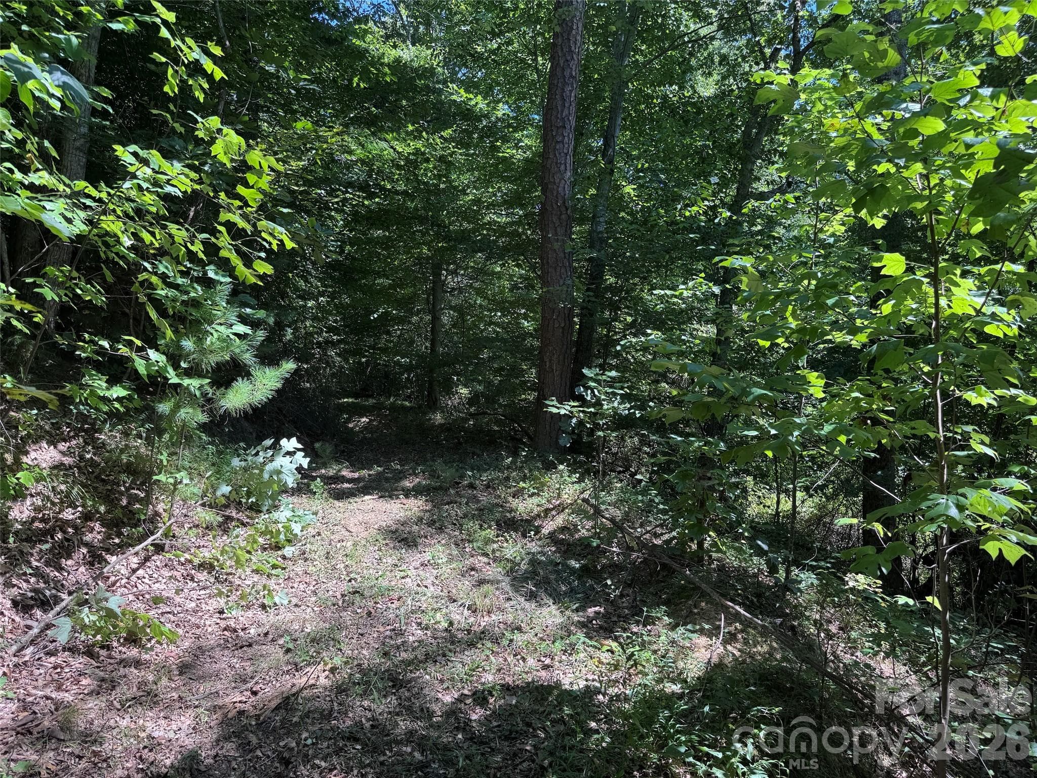 Acreage at 101 ± Acres Timbersong Drive, Weaverville, photo 12 of 39