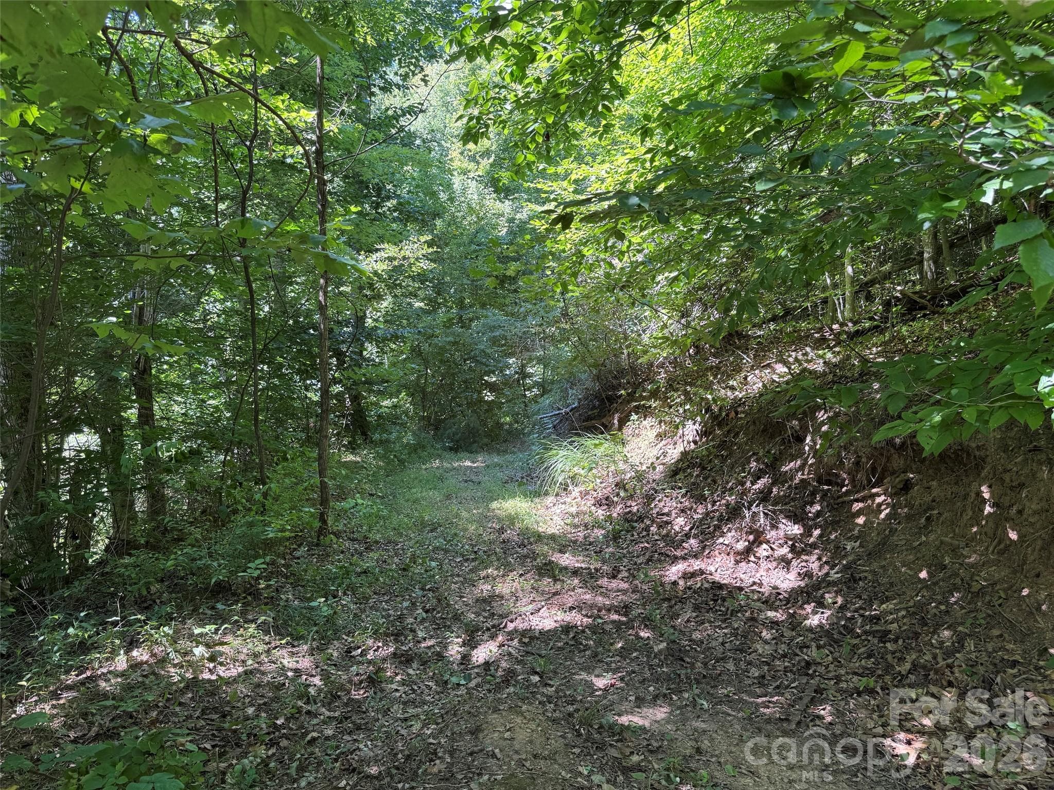 Acreage at 101 ± Acres Timbersong Drive, Weaverville, photo 13 of 39