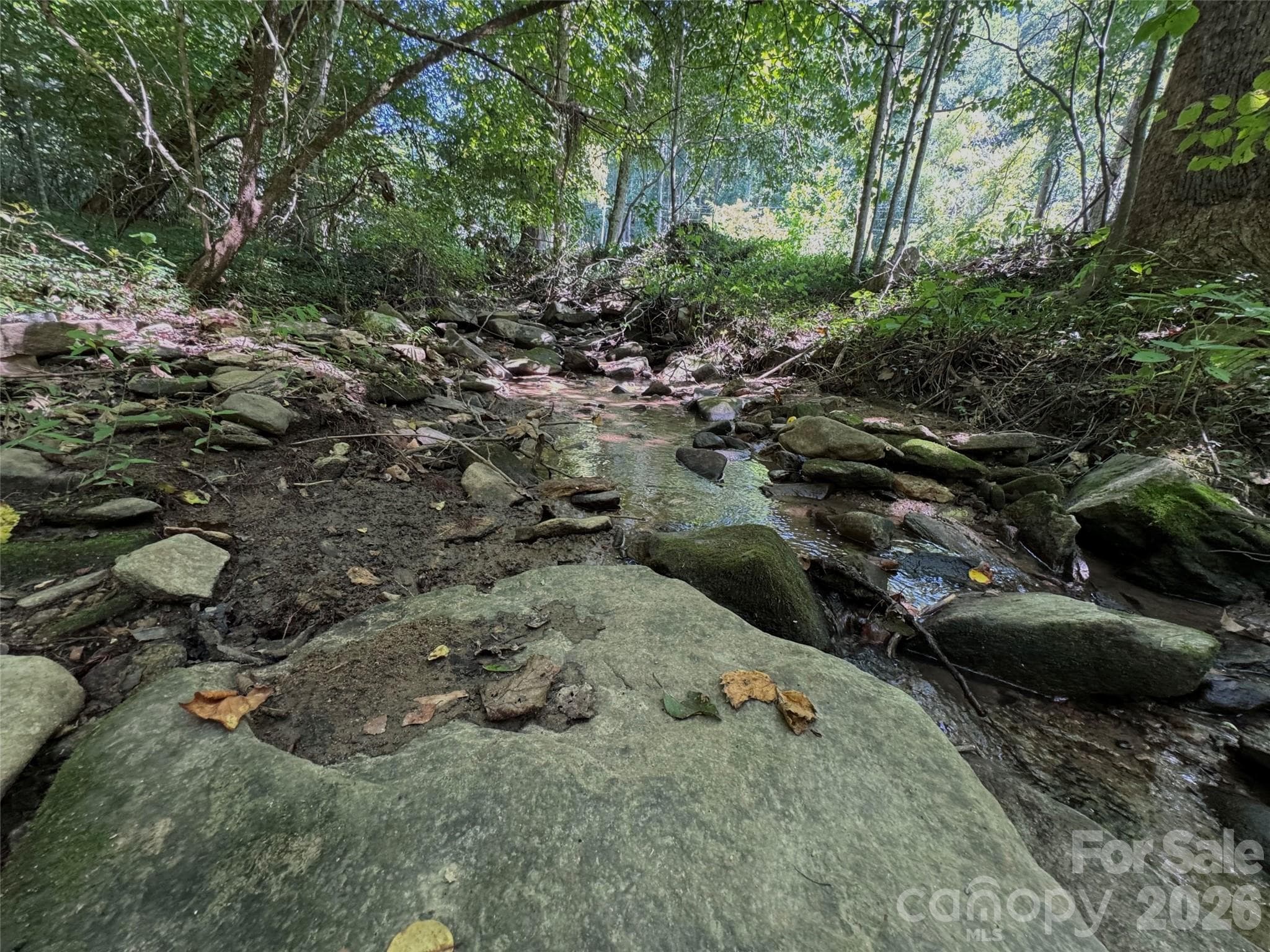 Acreage at 101 ± Acres Timbersong Drive, Weaverville, photo 20 of 39
