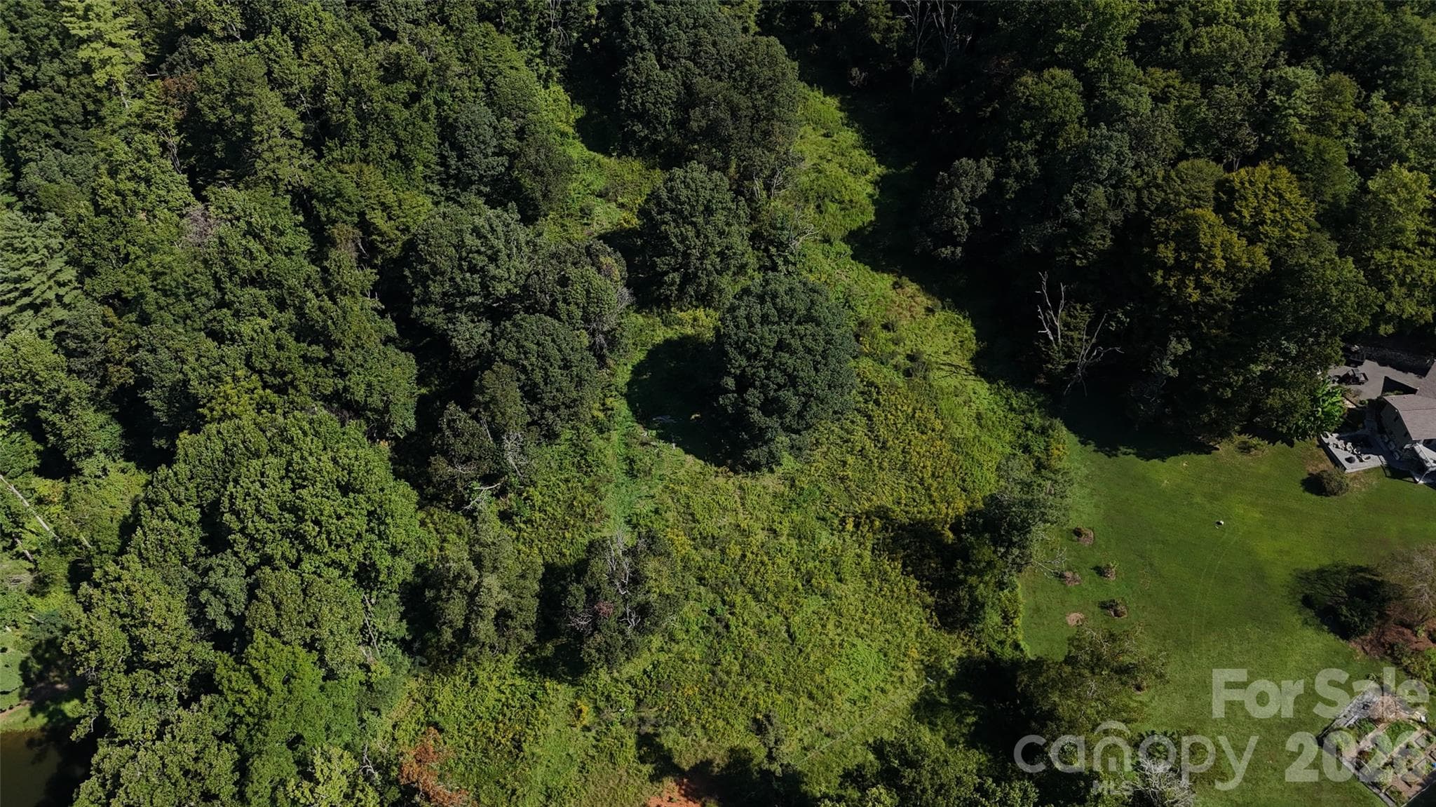 Acreage at 101 ± Acres Timbersong Drive, Weaverville, photo 30 of 39