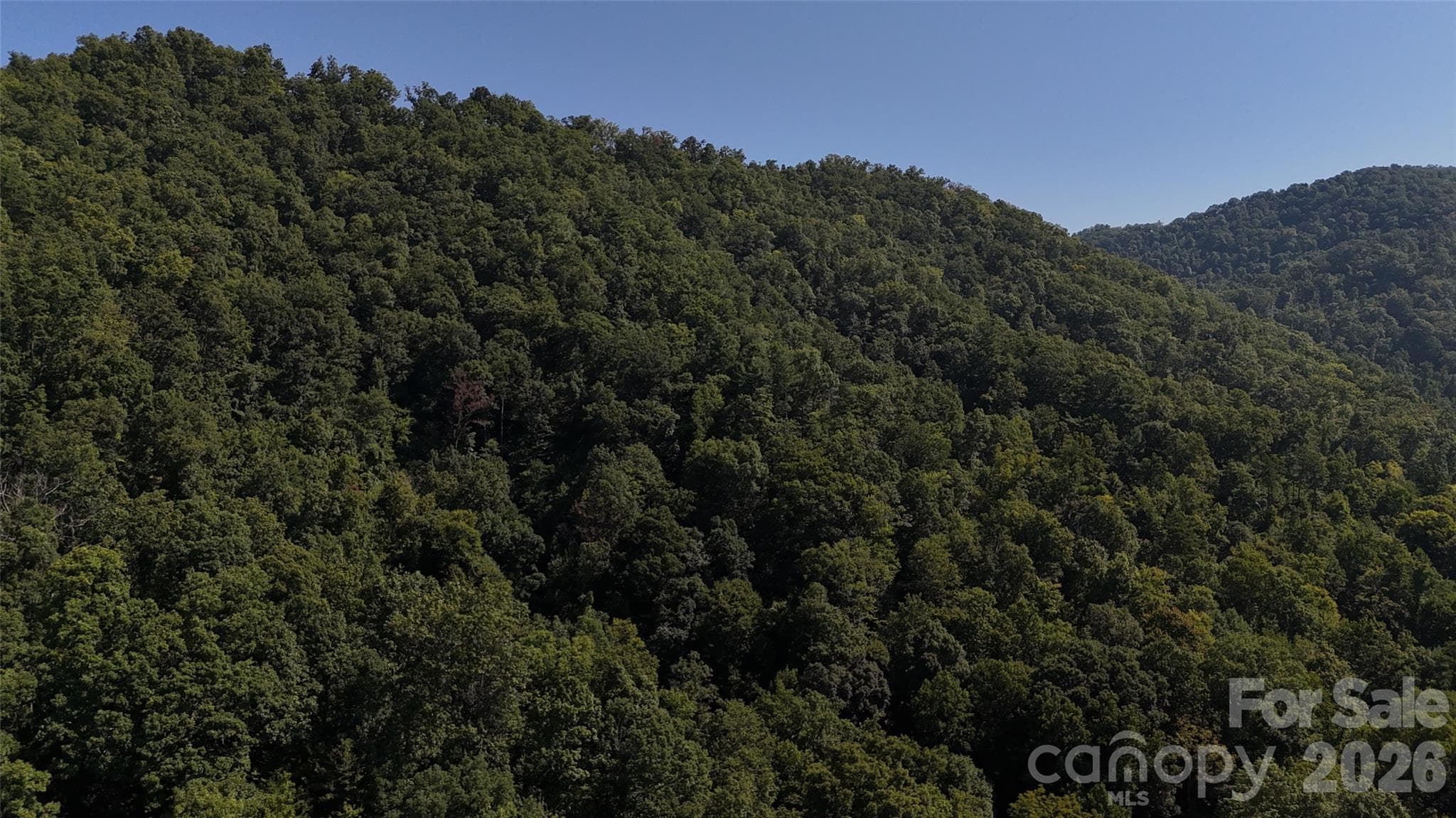 Acreage at 101 ± Acres Timbersong Drive, Weaverville, photo 36 of 39