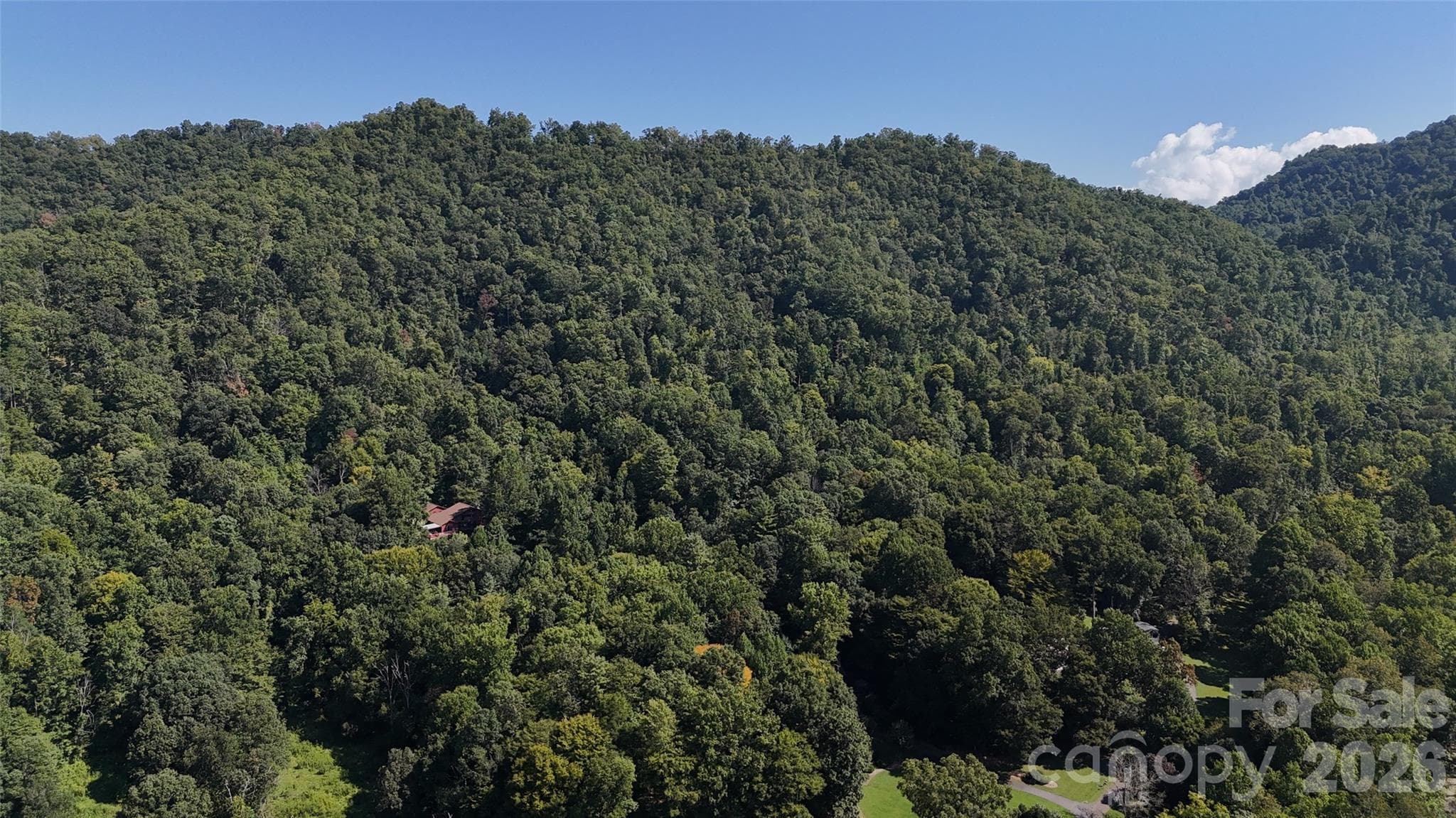 Acreage at 101 ± Acres Timbersong Drive, Weaverville, photo 37 of 39