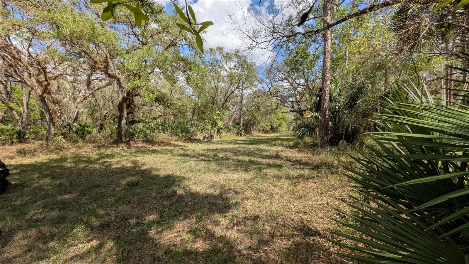 Land at GILLETTE RD, ZOLFO SPRINGS, photo 11 of 86