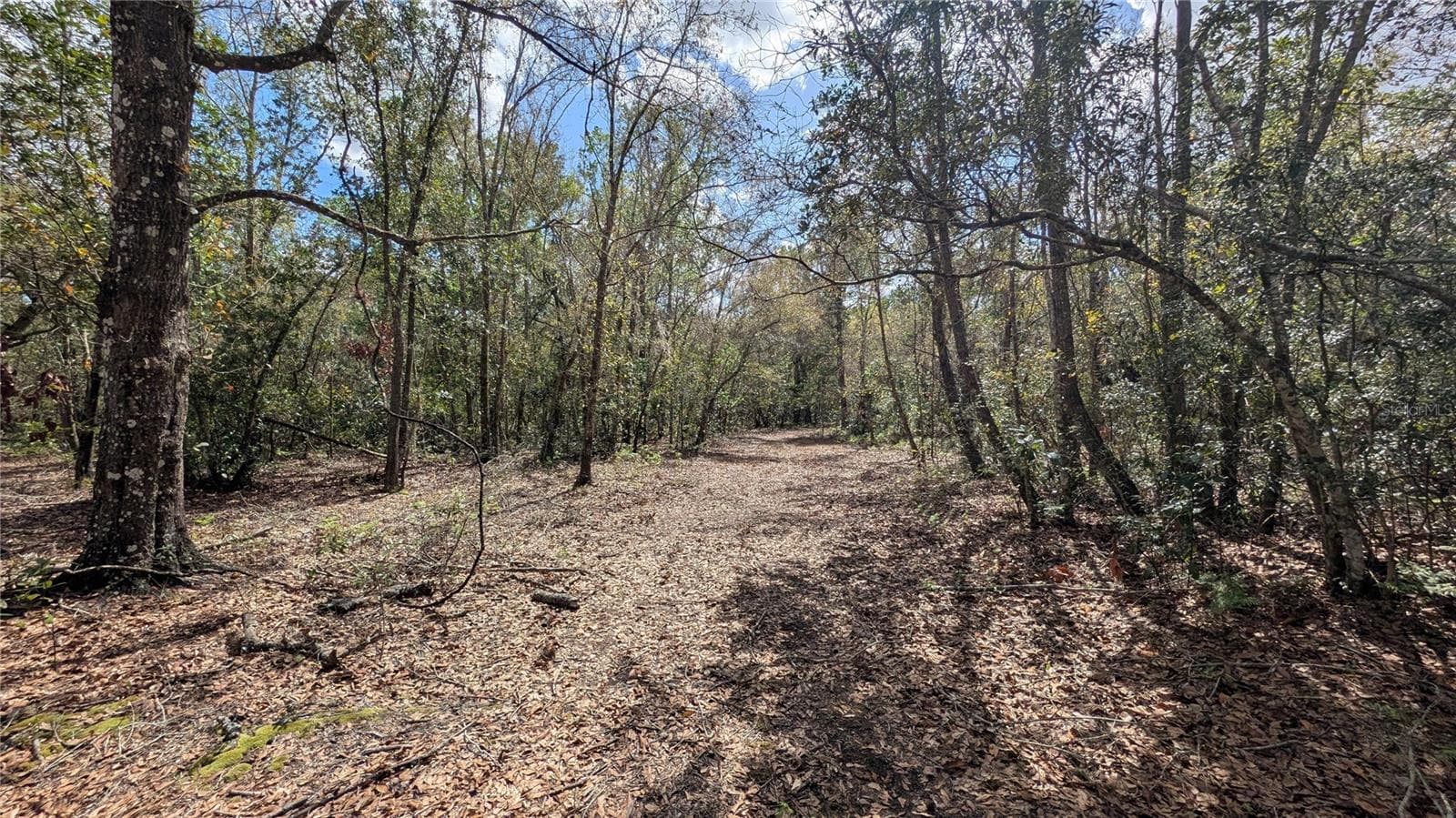 Land at GILLETTE RD, ZOLFO SPRINGS, photo 25 of 86