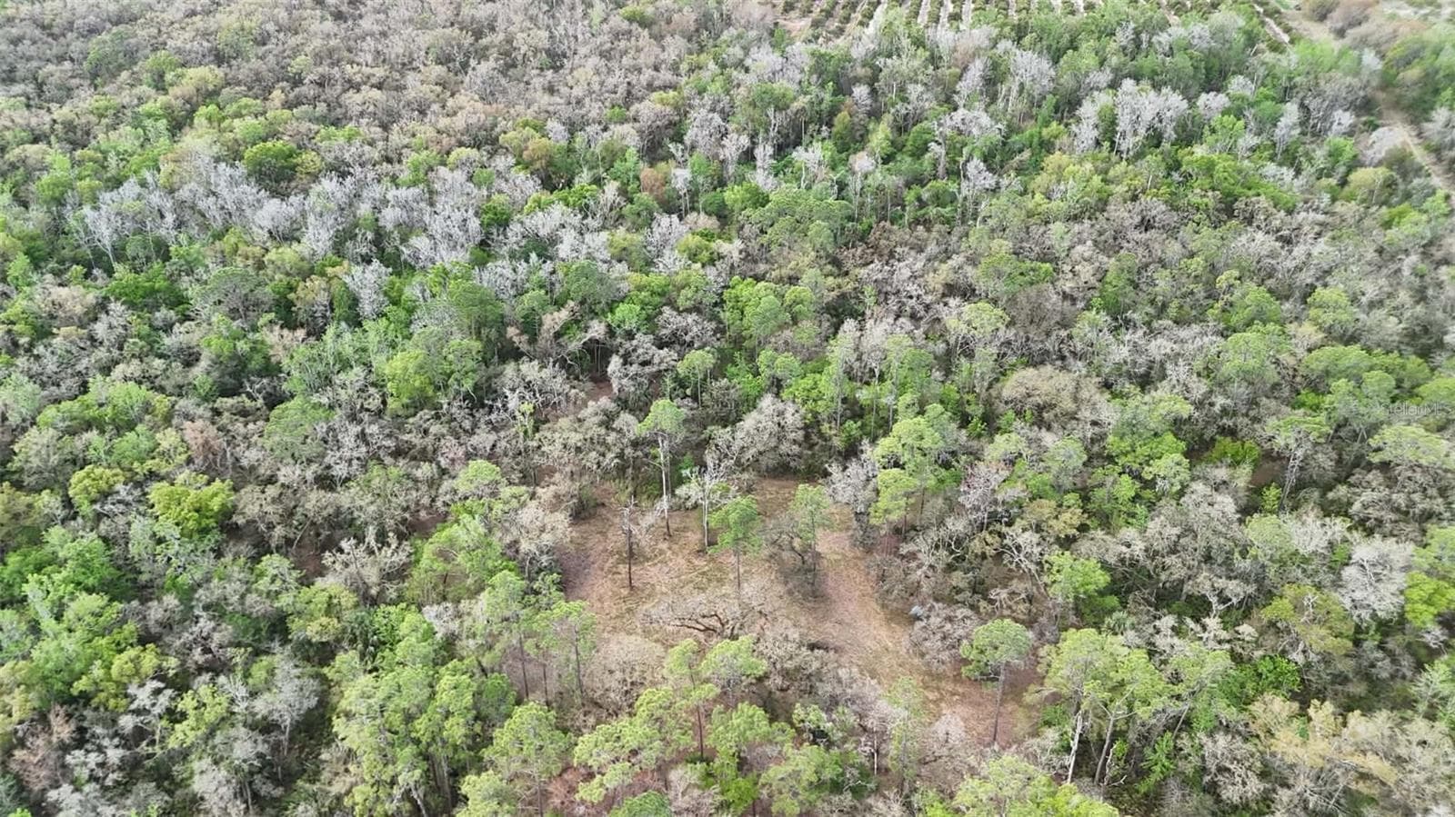 Land at GILLETTE RD, ZOLFO SPRINGS, photo 70 of 86