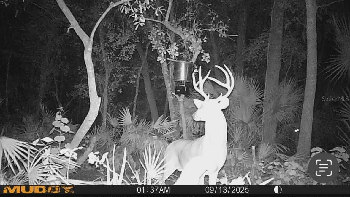 Land at GILLETTE RD, ZOLFO SPRINGS, photo 81 of 86