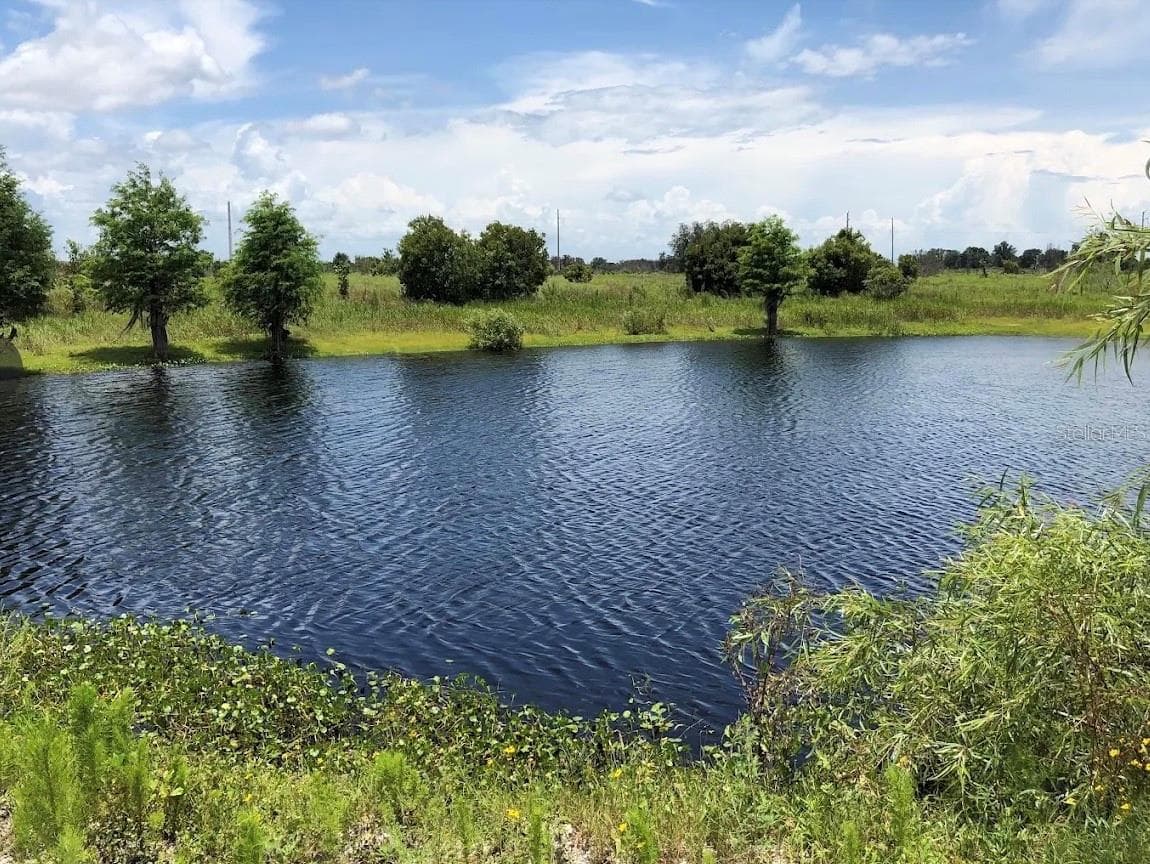 Duette Preserve - 824 LOGUE RD, MYAKKA CITY