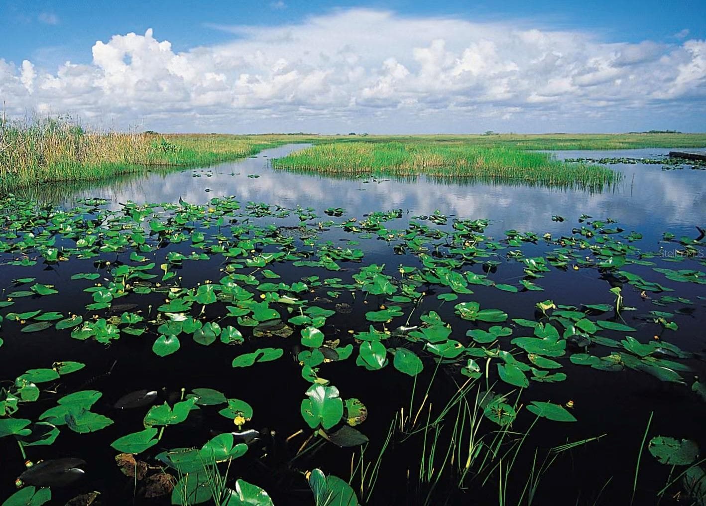 Duette Preserve - 824 LOGUE RD, MYAKKA CITY