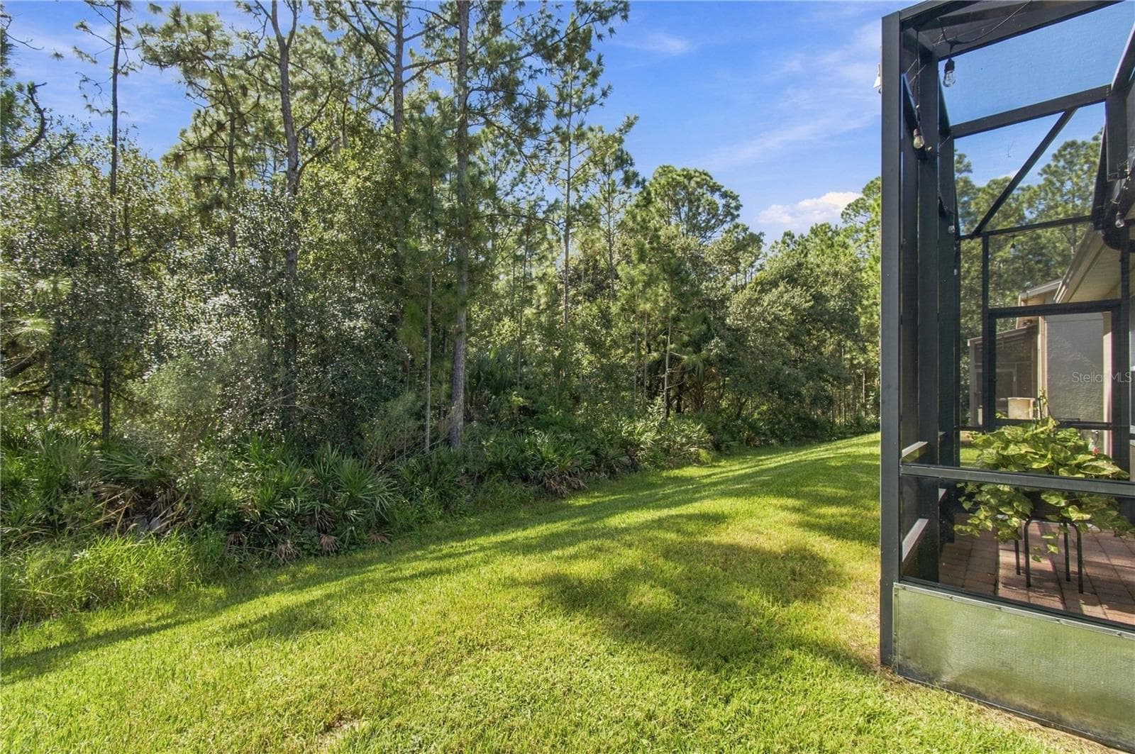PRIVATE CONSERVATION - 814 SHADY CANYON WAY, POINCIANA