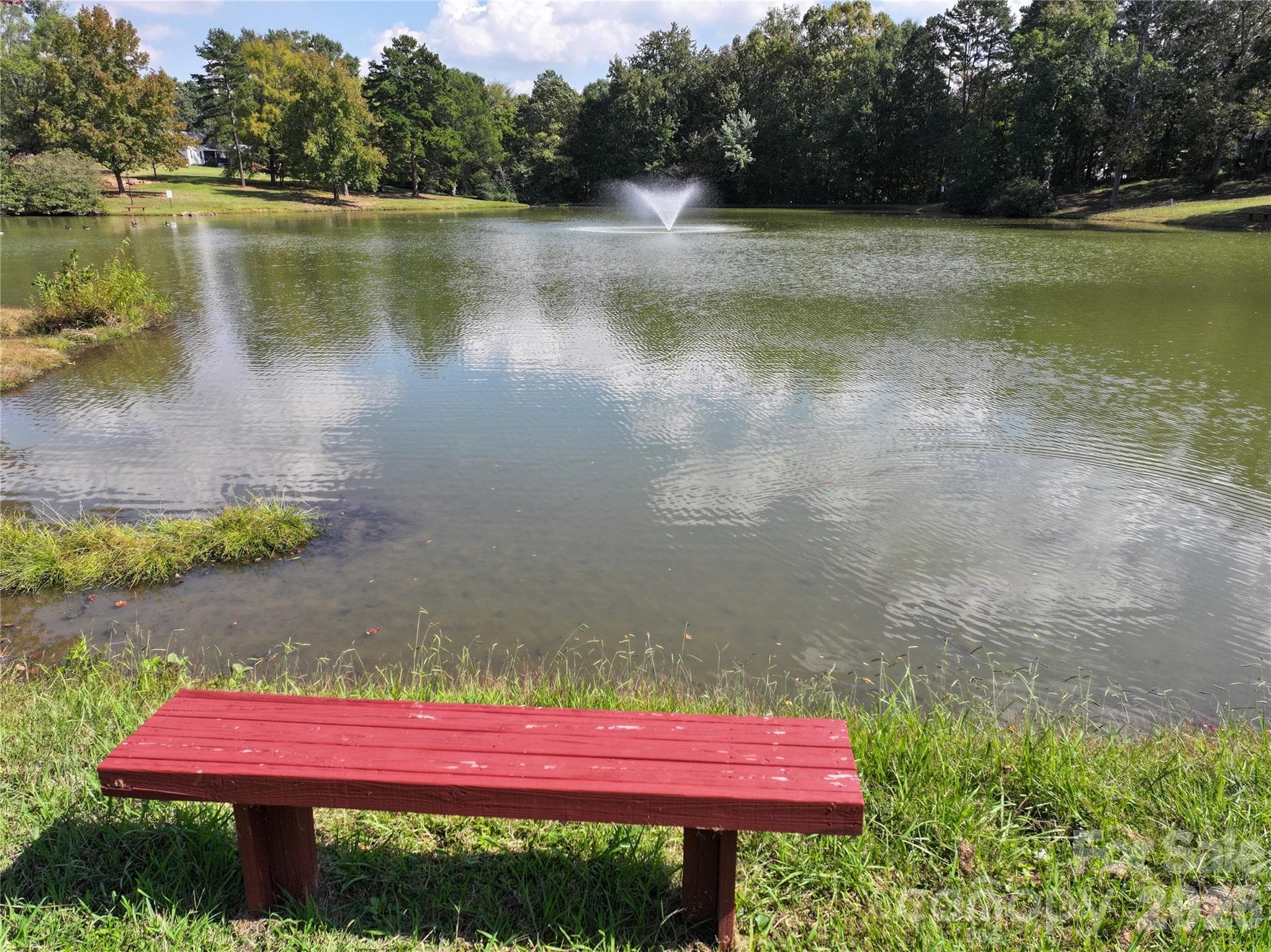 Beaver Pond - 236 Forest Pond Road, Kannapolis
