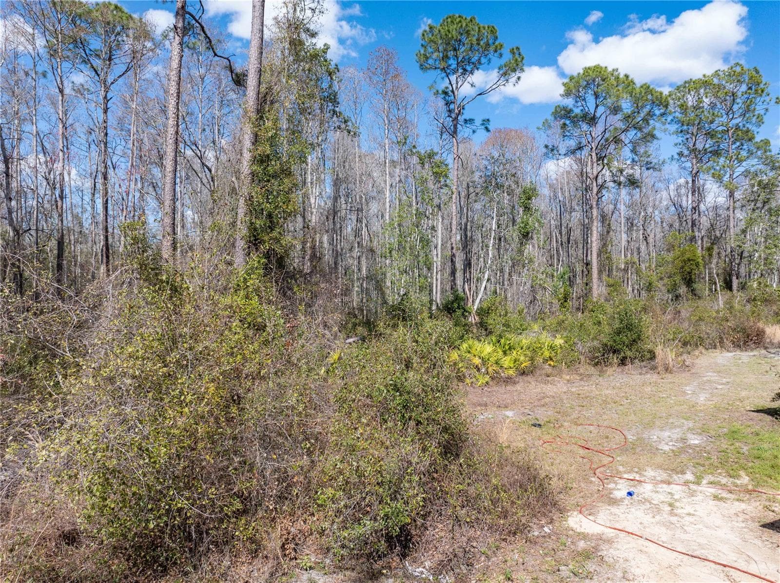 Land at 375 NW LAMAR PL, LAKE CITY, photo 2 of 6