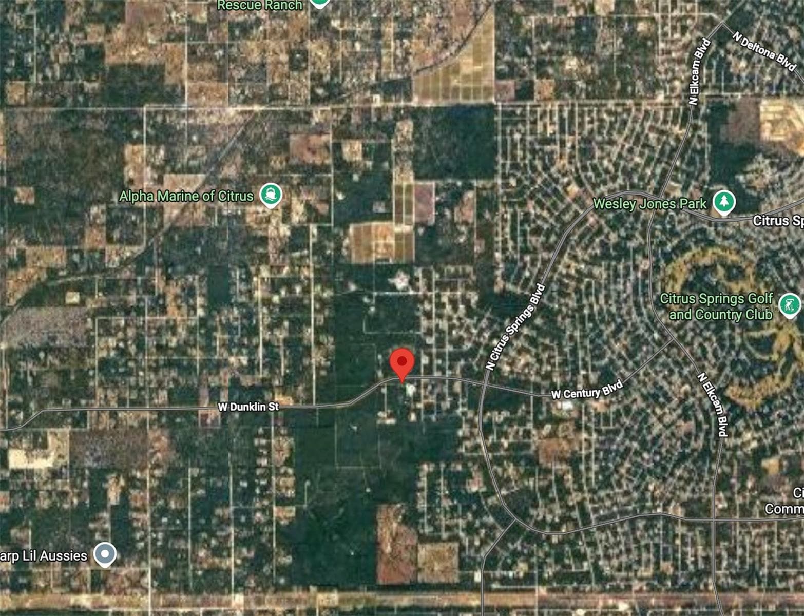 Land at 4600 W DUNKLIN ST, DUNNELLON, photo 4 of 8