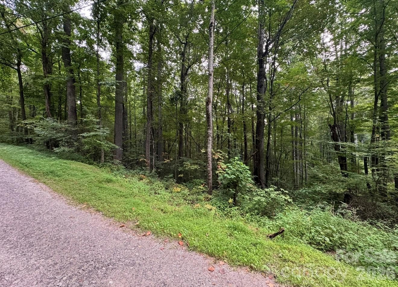 Lot at 13 Fern Trail, Waynesville, photo 3 of 3