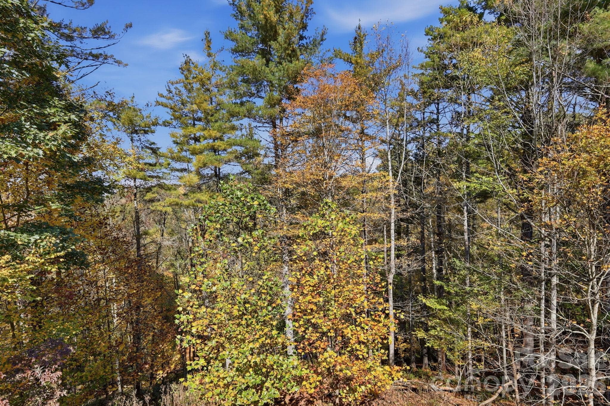 Home View - 610 Alpine Way, Todd