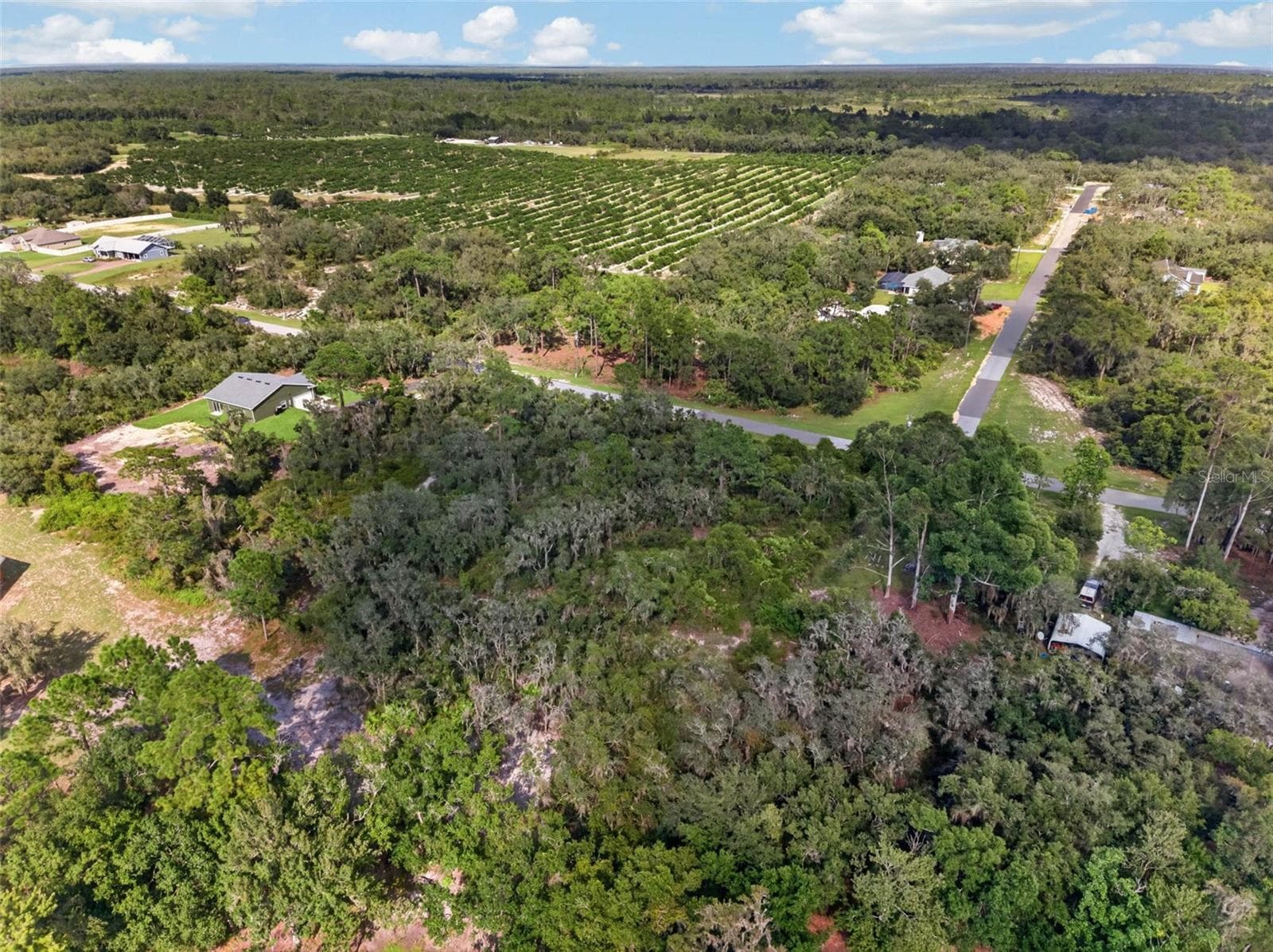 Land at 00 DEER RD, FROSTPROOF, photo 6 of 29