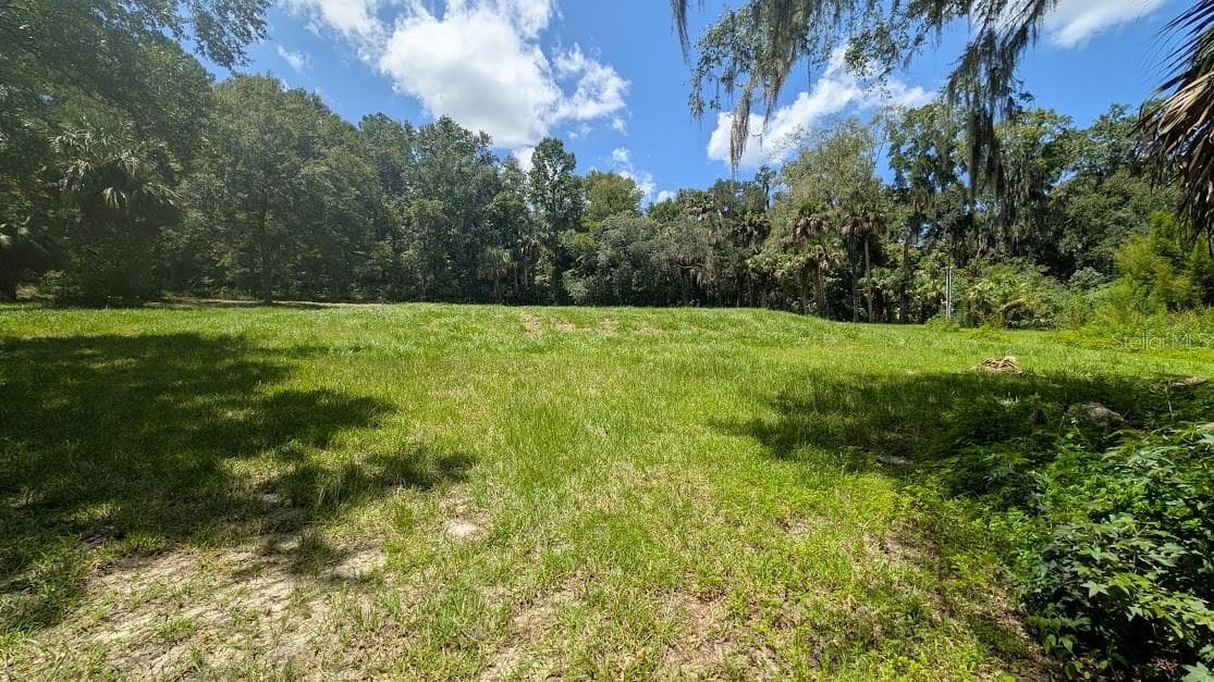 Power pole and new well are on the right ( north side of the property ). Level plat form for your construction. - 4040 SW 7TH AVENUE RD, OCALA