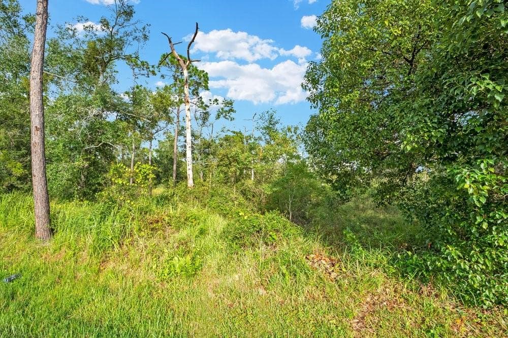 Land at 1575 HANCOCK LONE PALM, ORLANDO, photo 5 of 17
