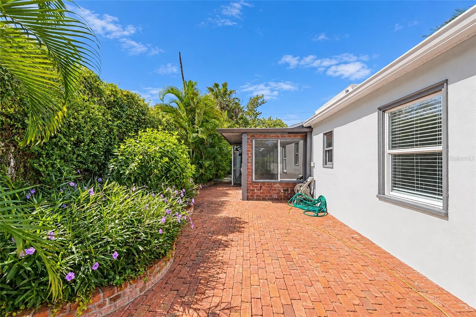 Back Yard - 1800 ALTA VISTA ST, SARASOTA