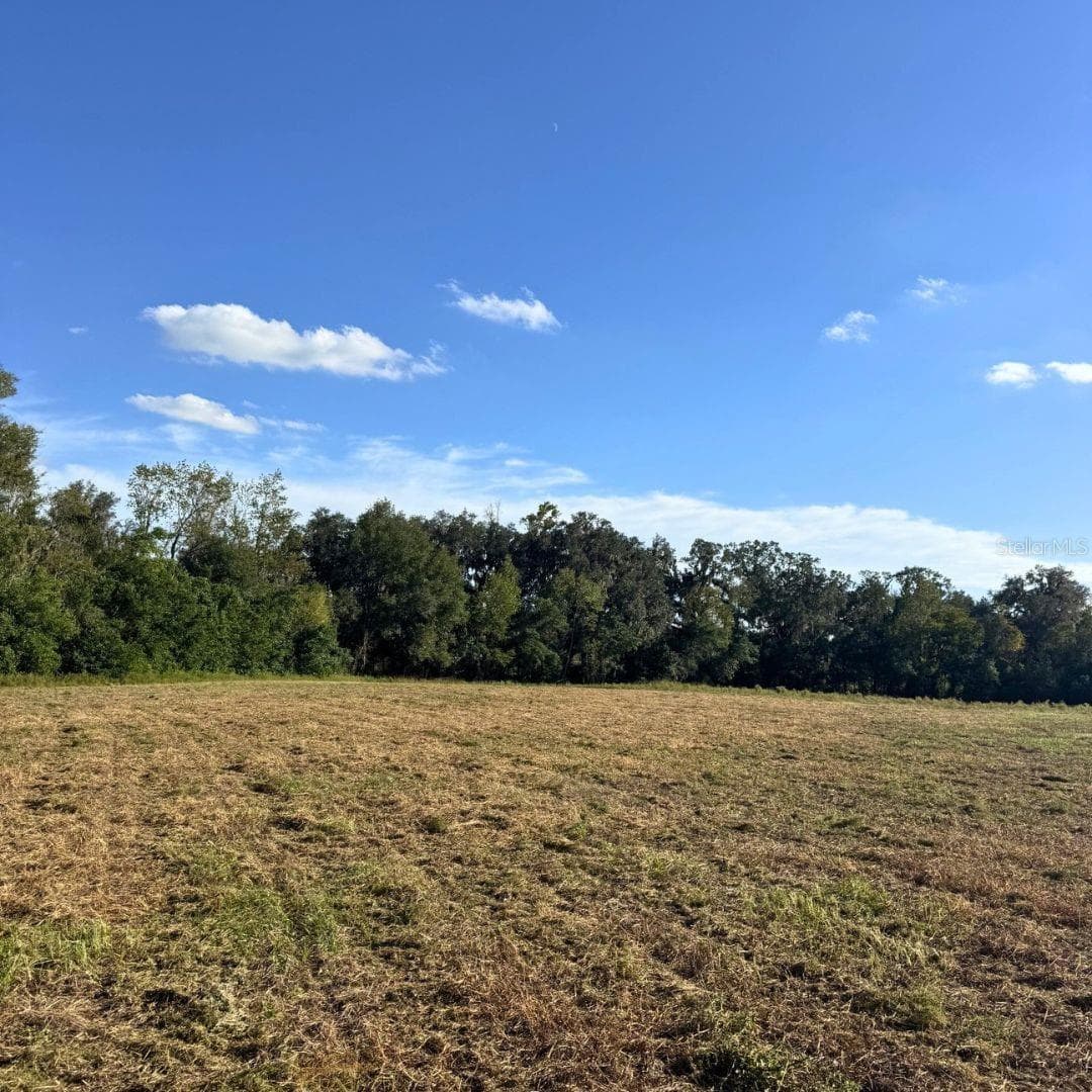 Land at 4274 SOUTHWEST 99TH AVENUE, JASPER, photo 3 of 3