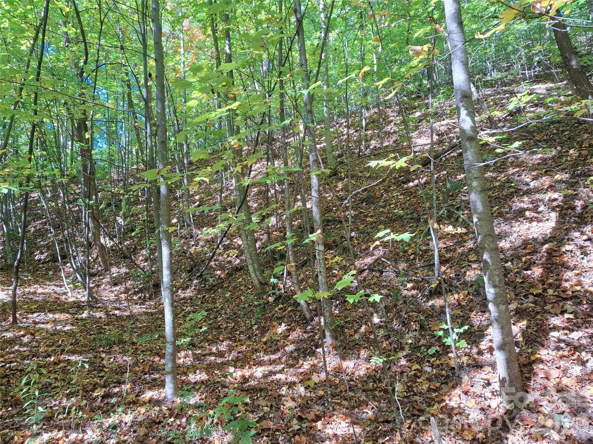 Lot at 965 Wolf Pen Road, Old Fort, photo 14 of 30
