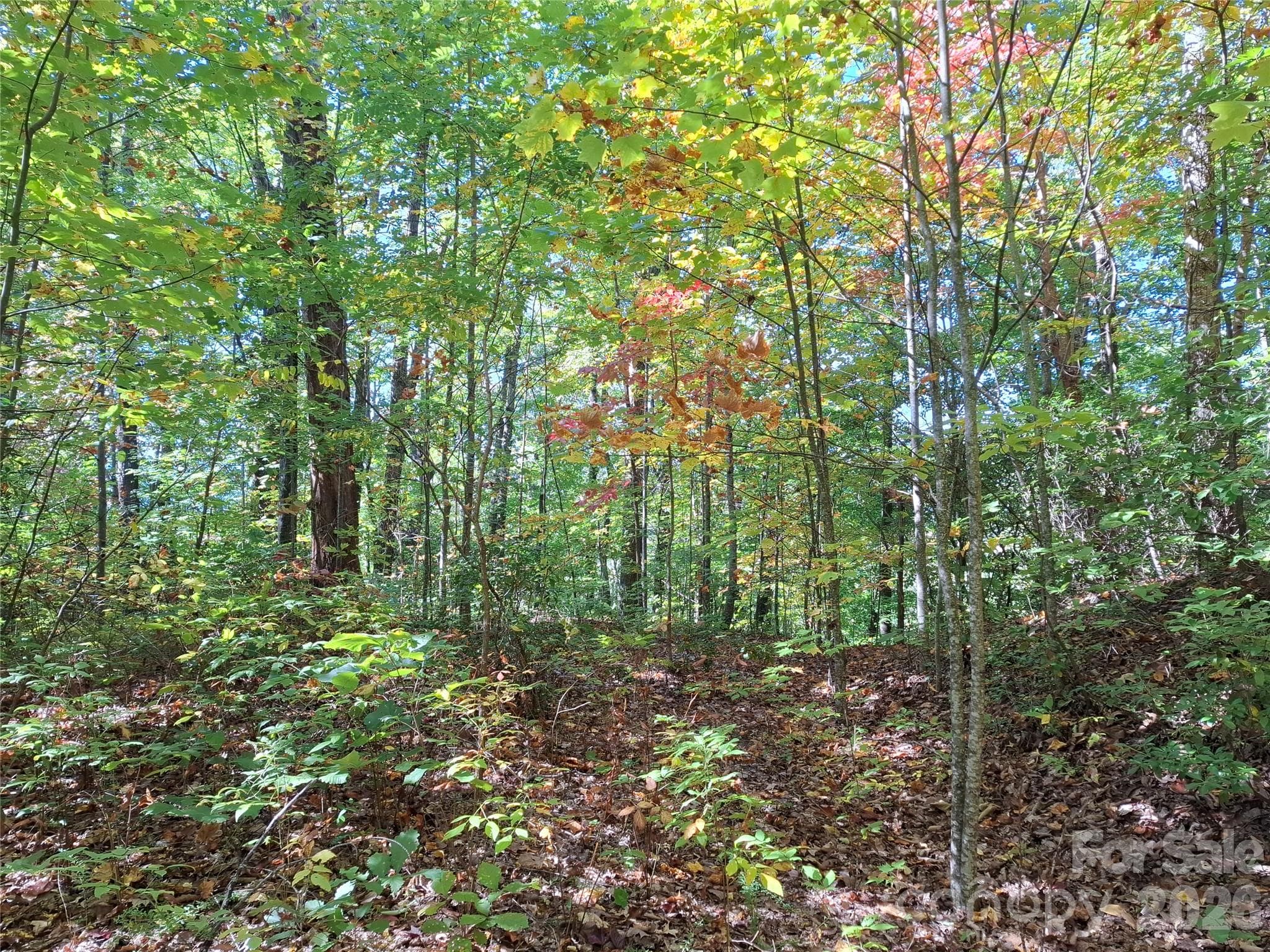 Lot at 965 Wolf Pen Road, Old Fort, photo 16 of 30