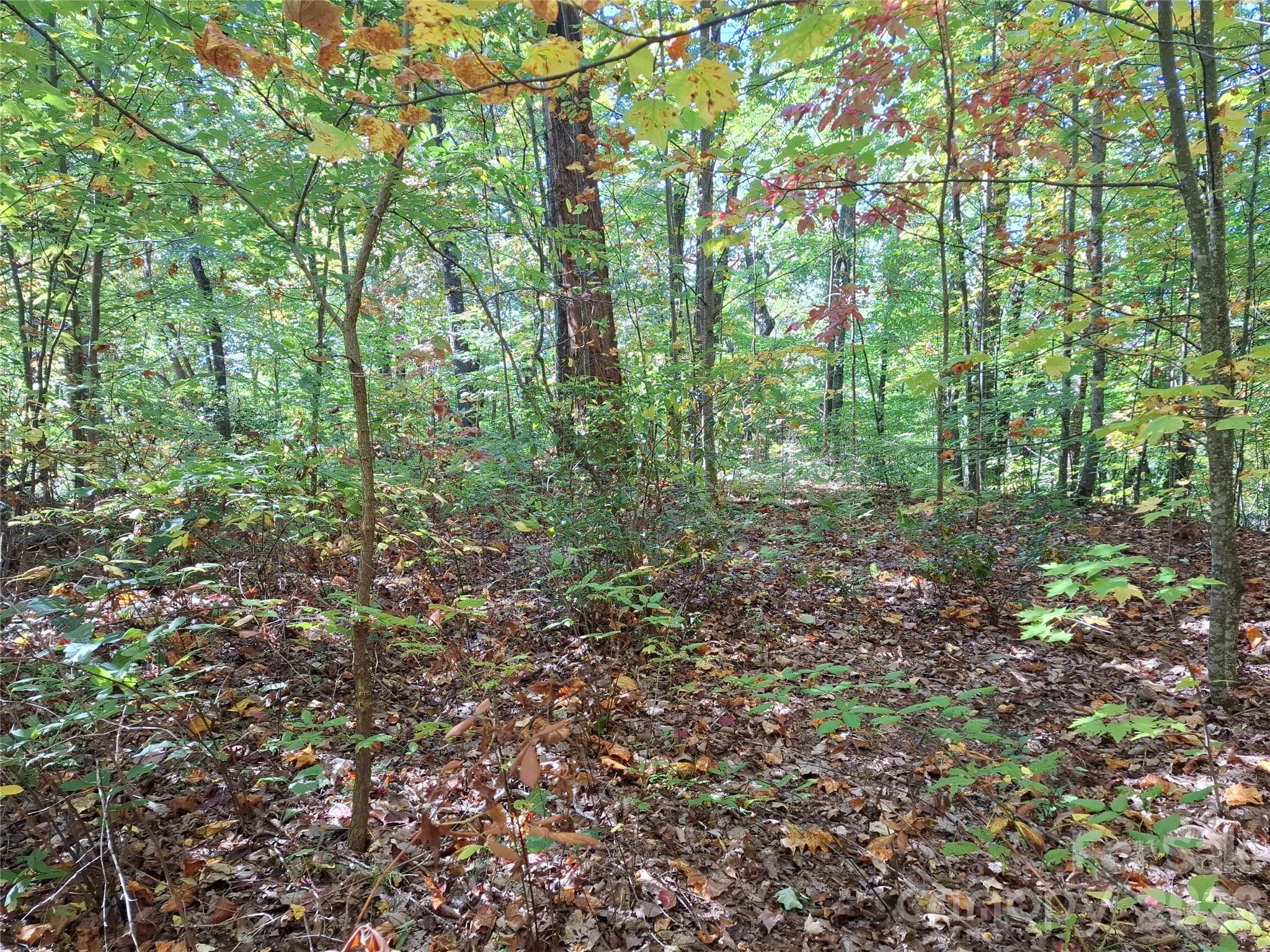 Lot at 965 Wolf Pen Road, Old Fort, photo 17 of 30