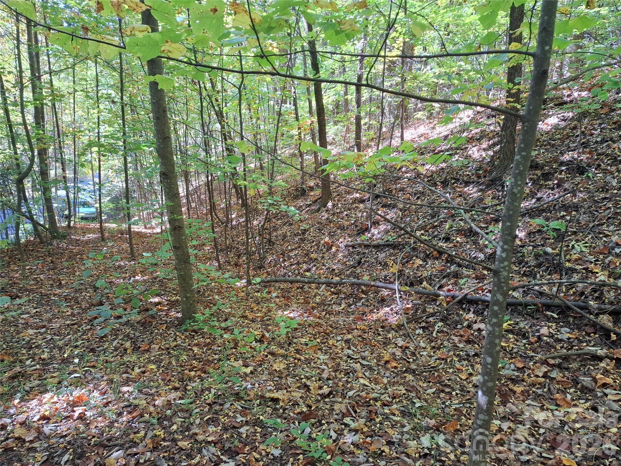 Lot at 965 Wolf Pen Road, Old Fort, photo 20 of 30
