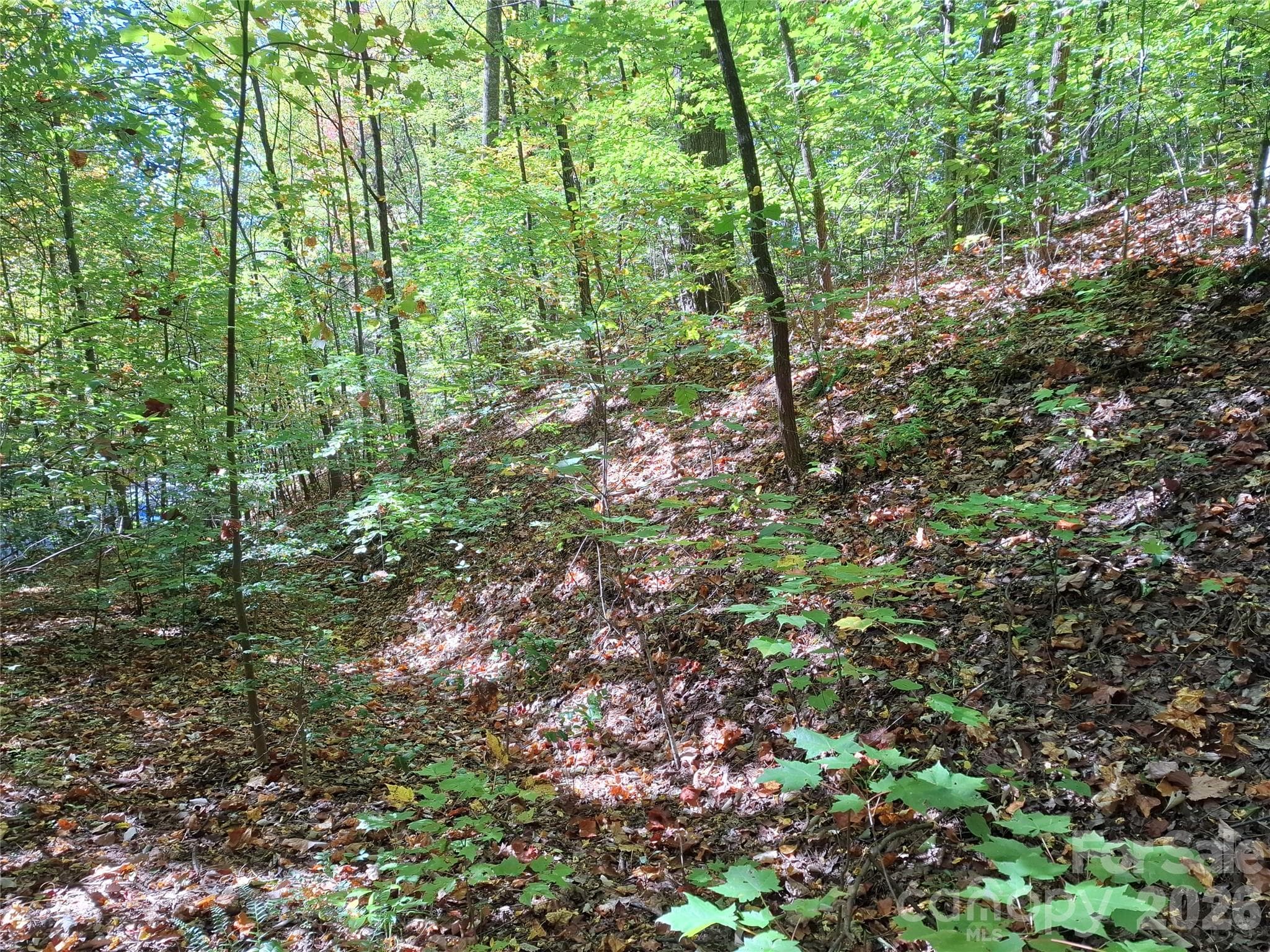 Lot at 965 Wolf Pen Road, Old Fort, photo 21 of 30