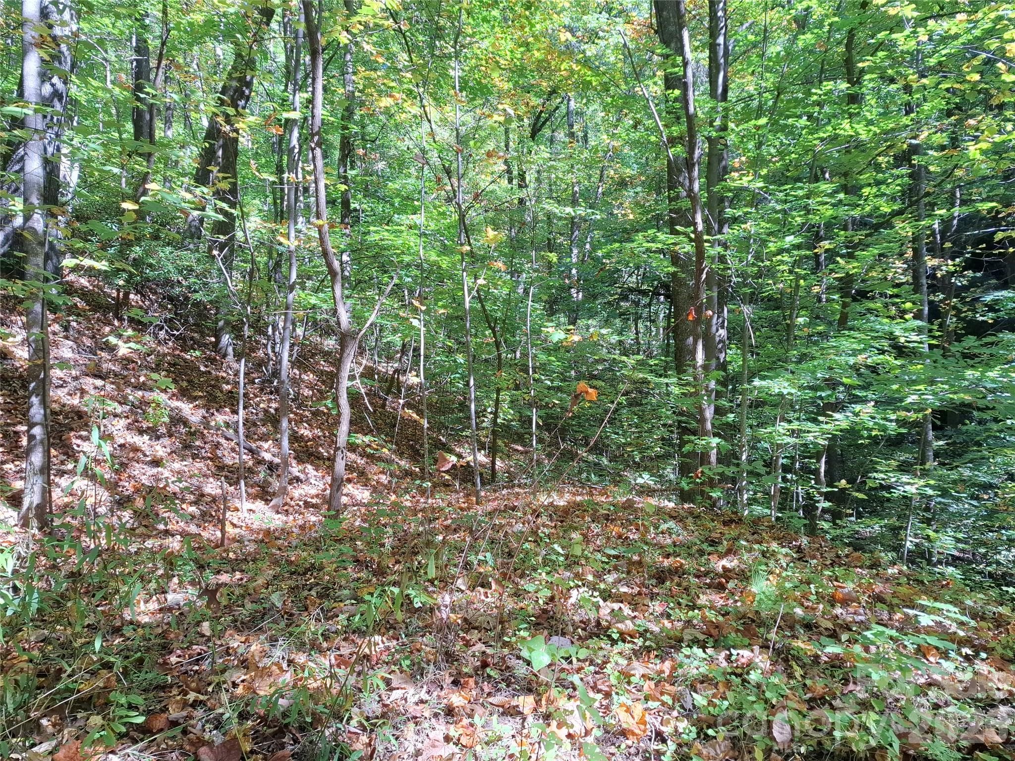 Lot at 965 Wolf Pen Road, Old Fort, photo 22 of 30