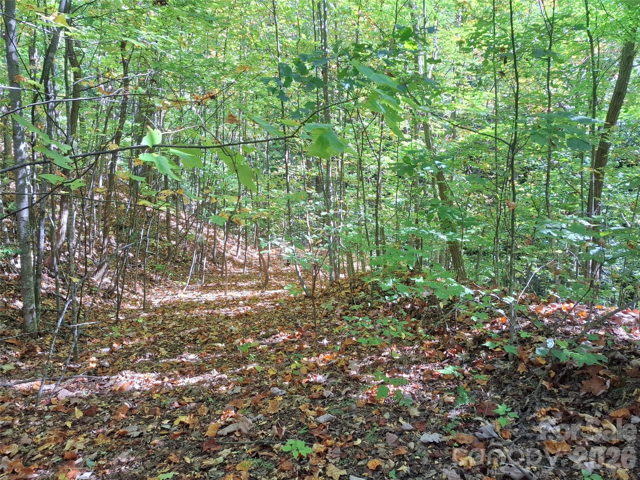 Lot at 965 Wolf Pen Road, Old Fort, photo 23 of 30