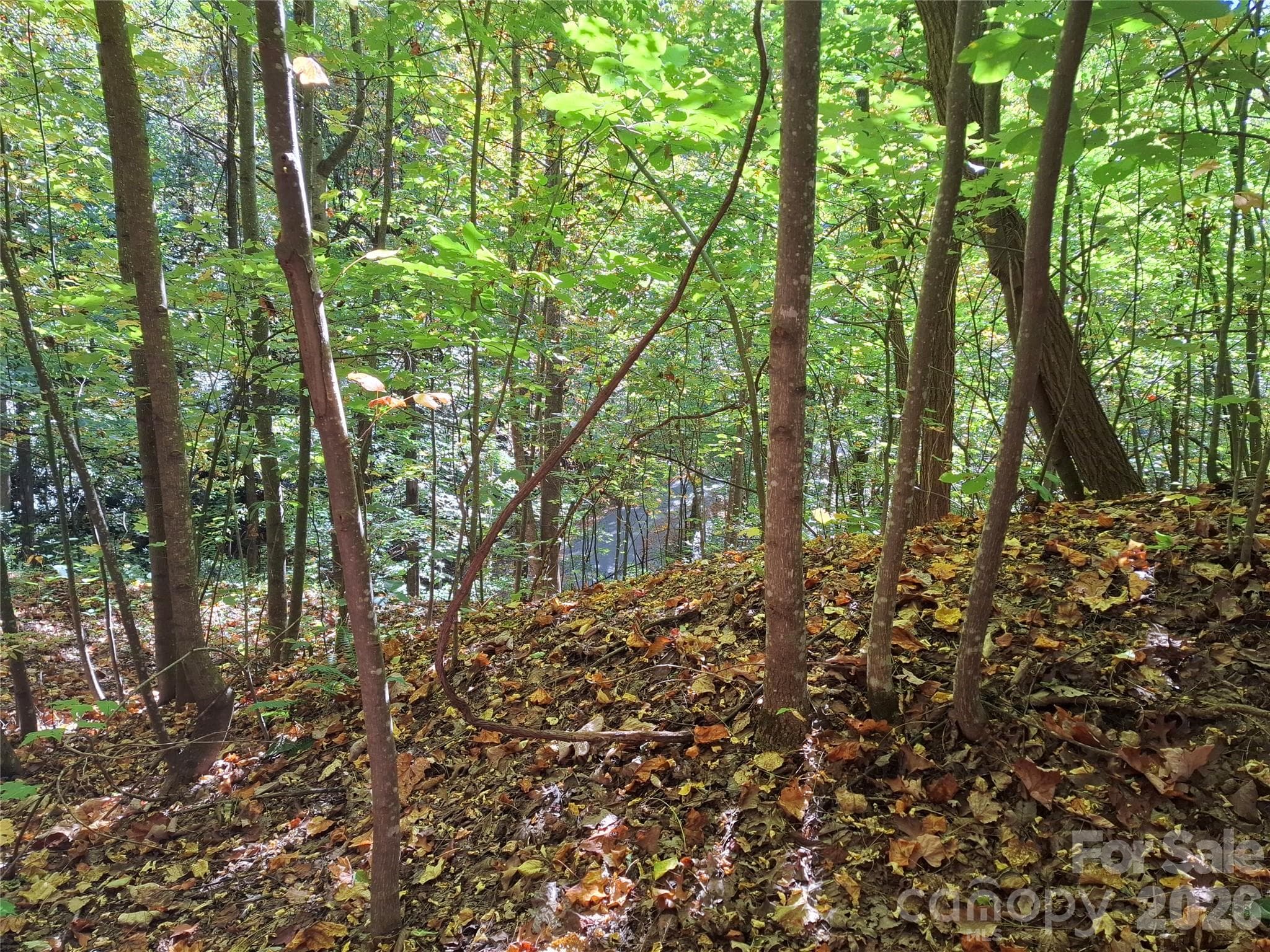 Lot at 965 Wolf Pen Road, Old Fort, photo 28 of 30