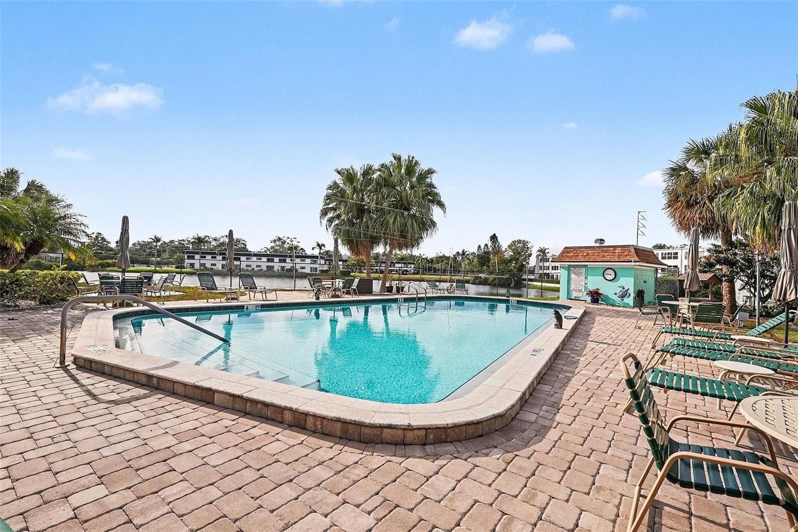 Pool - 1659 S LAKE AVE #1, CLEARWATER