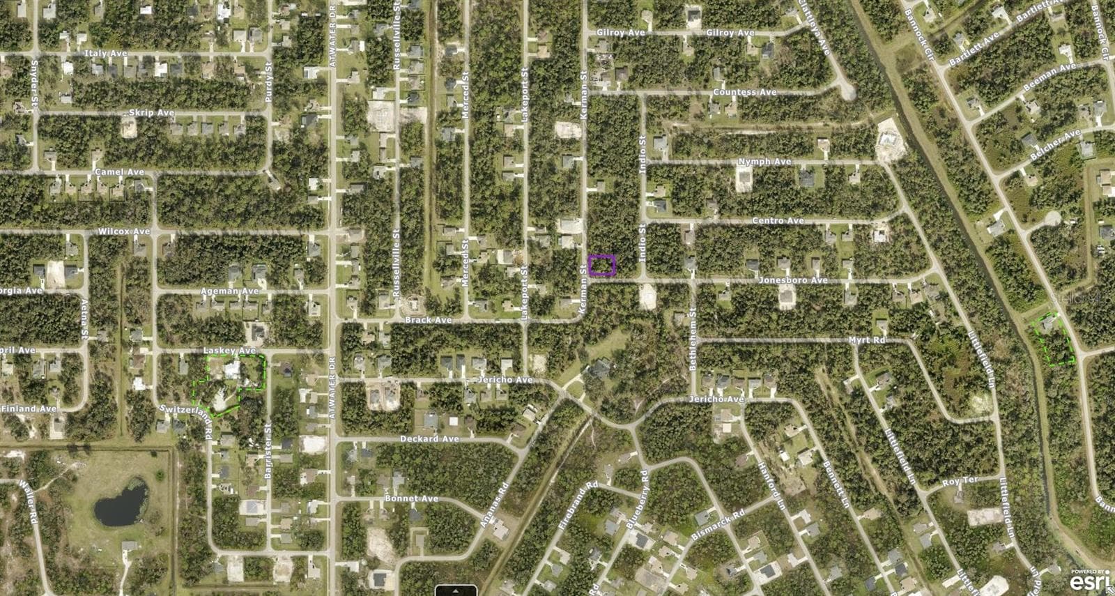 Land at 1133105011 JONESBORO AVE, NORTH PORT, photo 3 of 43