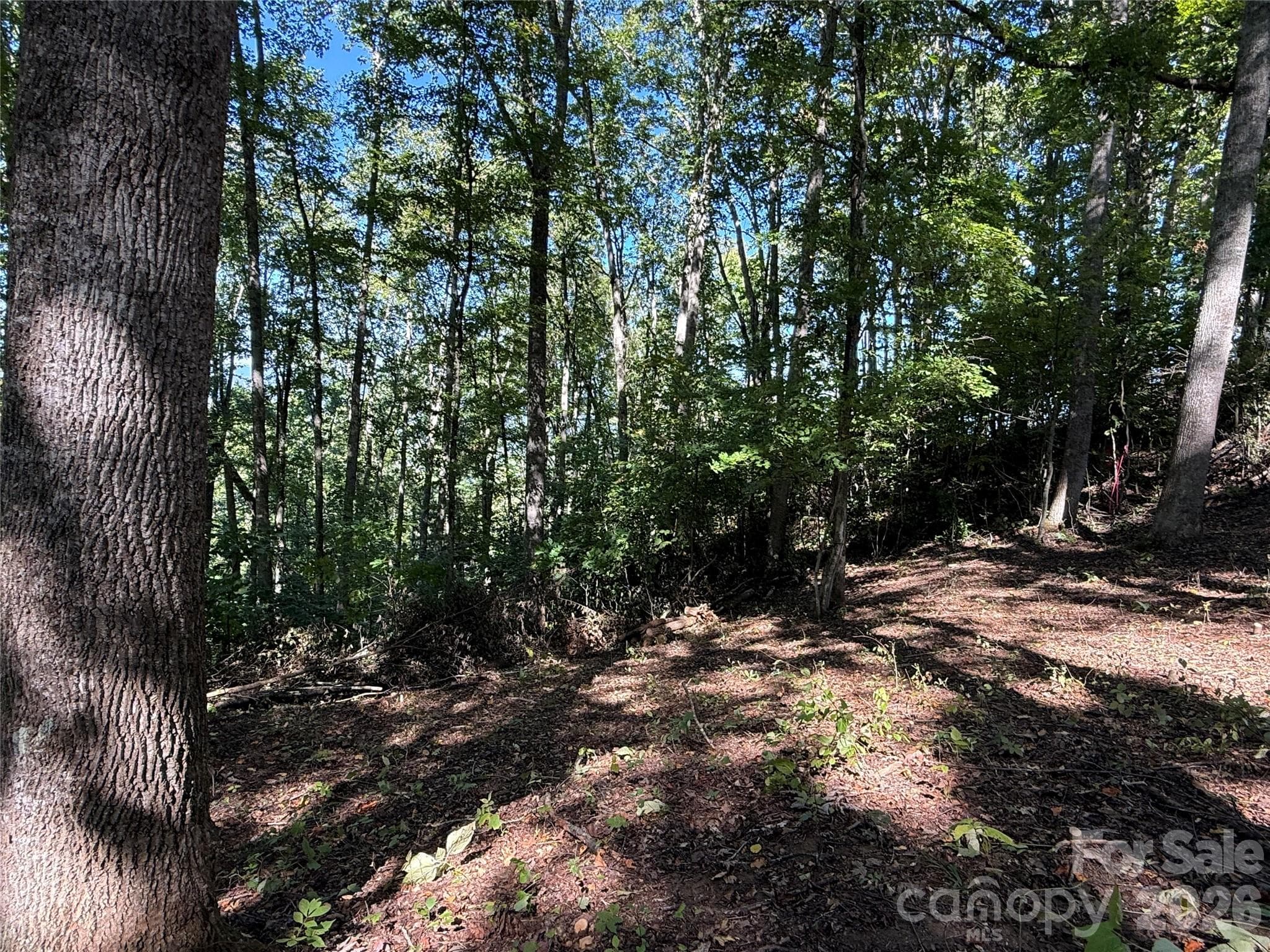 Lot at 9999 Elk Ridge Drive, Asheville, photo 7 of 20