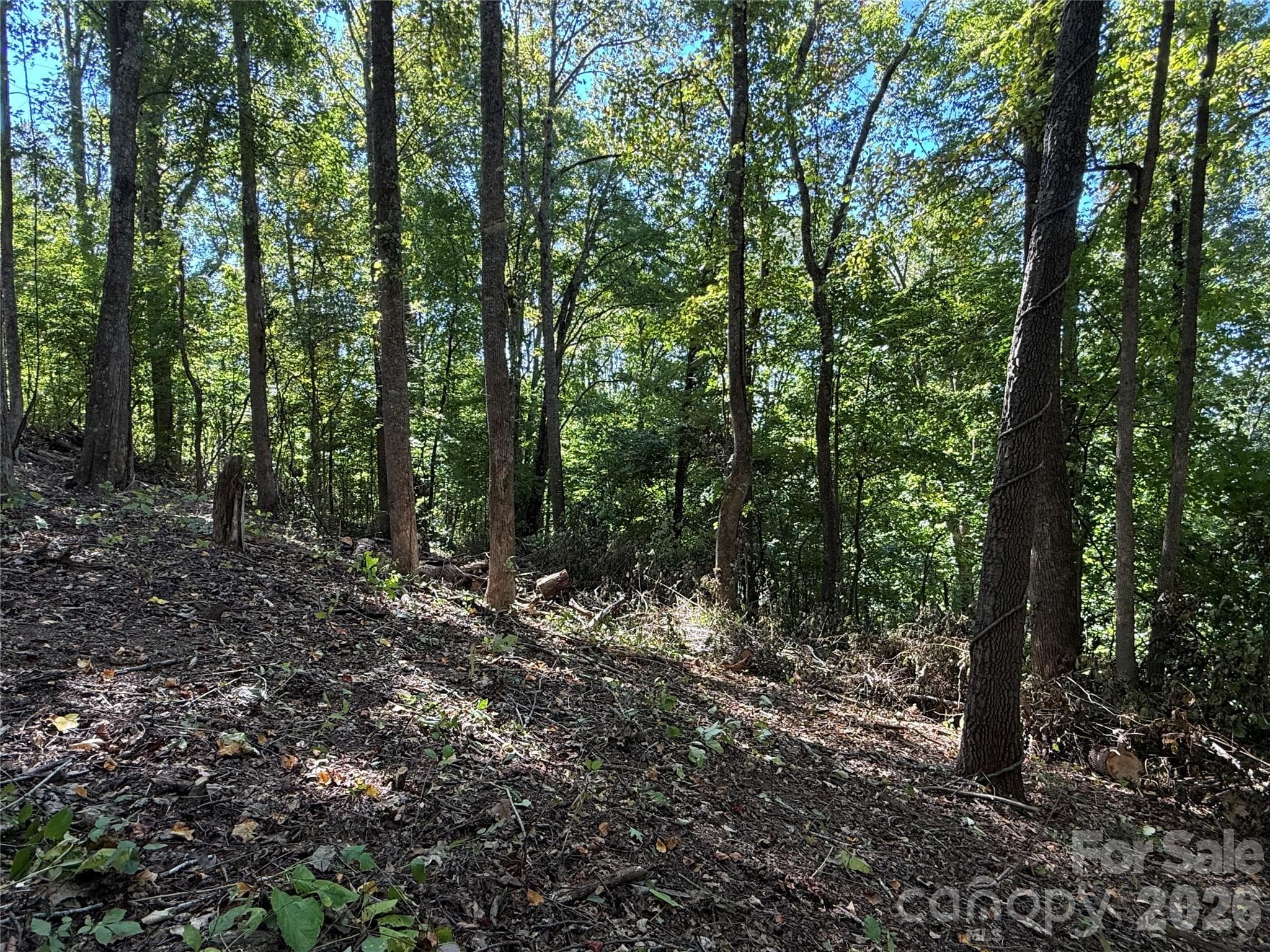 Lot at 9999 Elk Ridge Drive, Asheville, photo 8 of 20