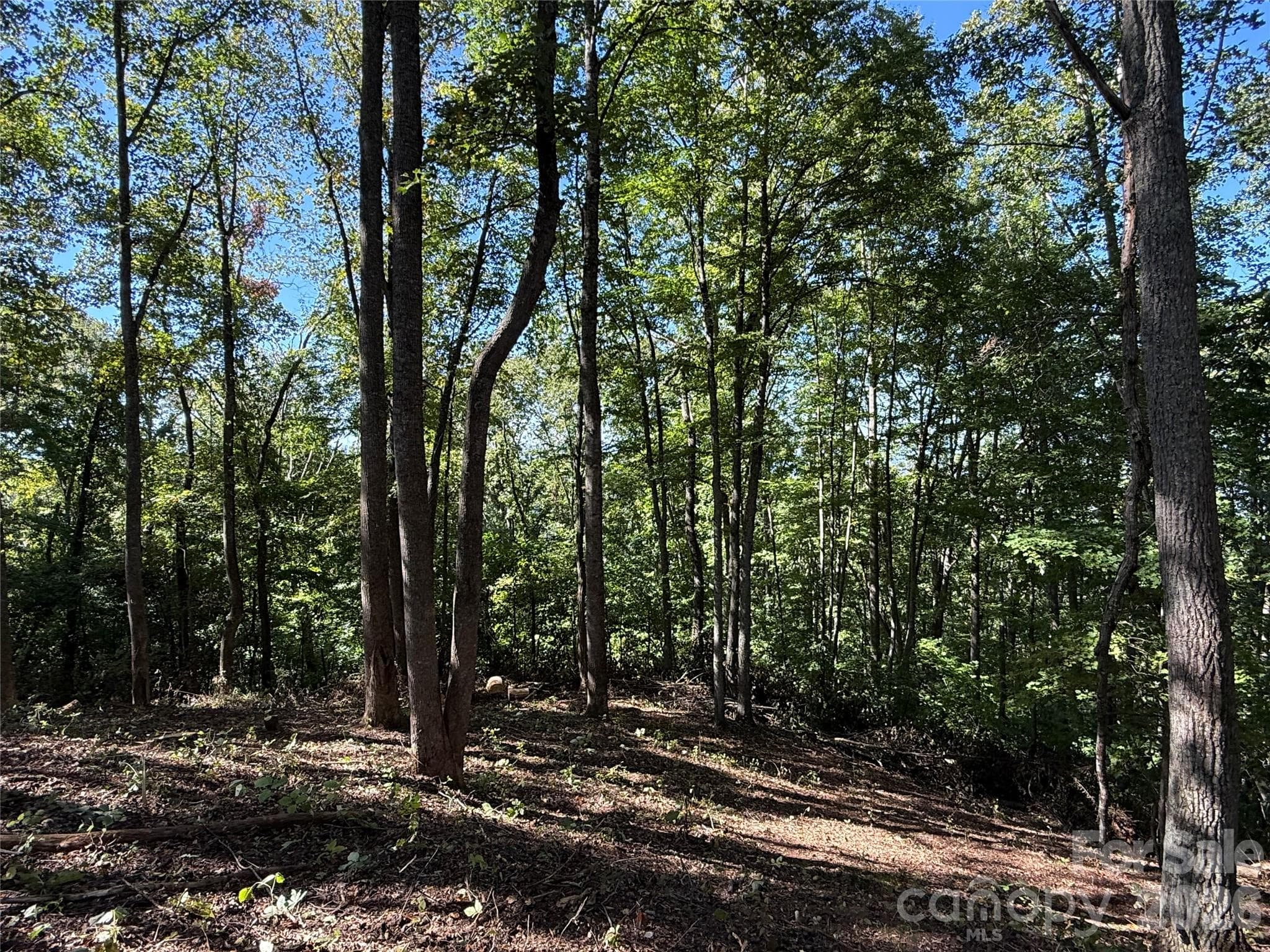Lot at 9999 Elk Ridge Drive, Asheville, photo 10 of 20