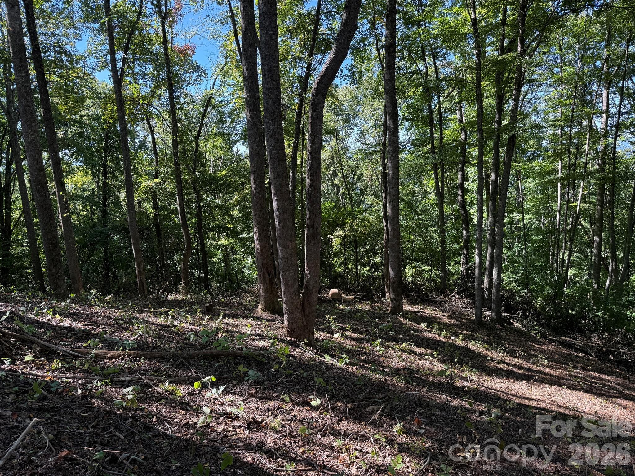 Lot at 9999 Elk Ridge Drive, Asheville, photo 11 of 20
